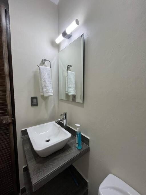 One-Bedroom Apartment with View photo 3
