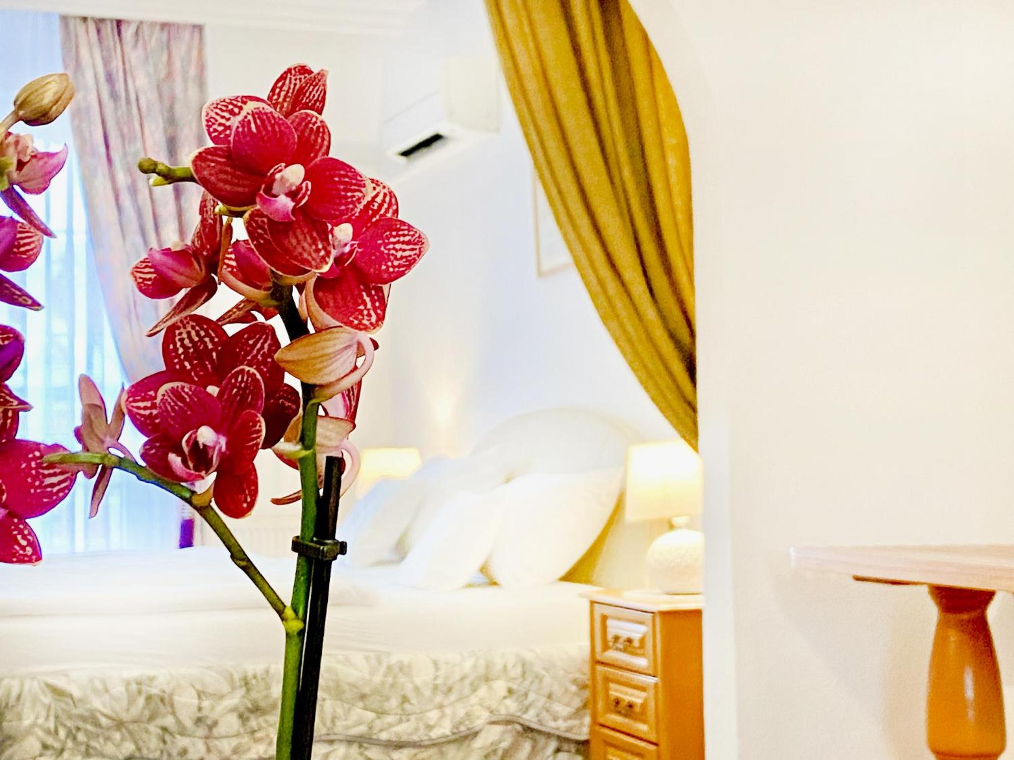 Deluxe King Suite photo 3