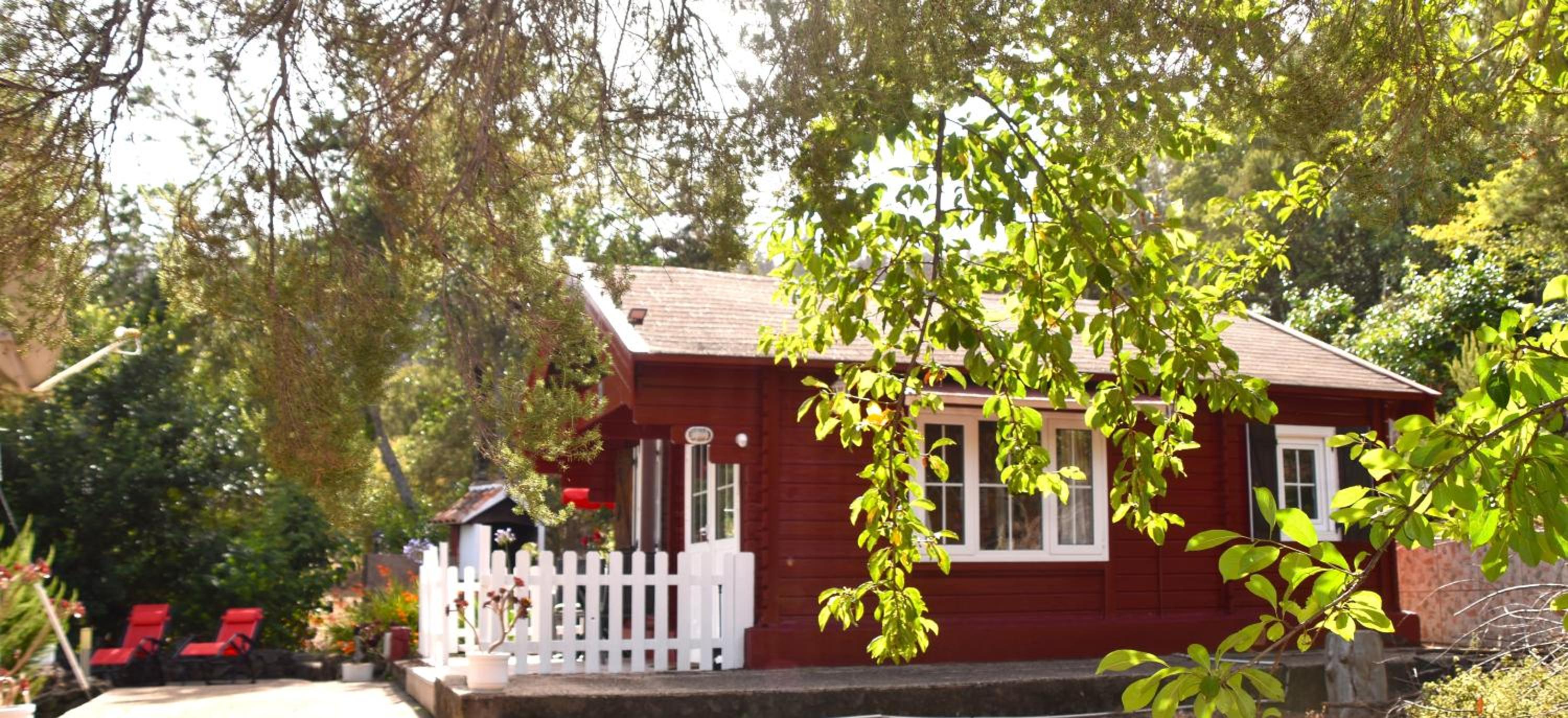 One-Bedroom House with Barbecue photo 3