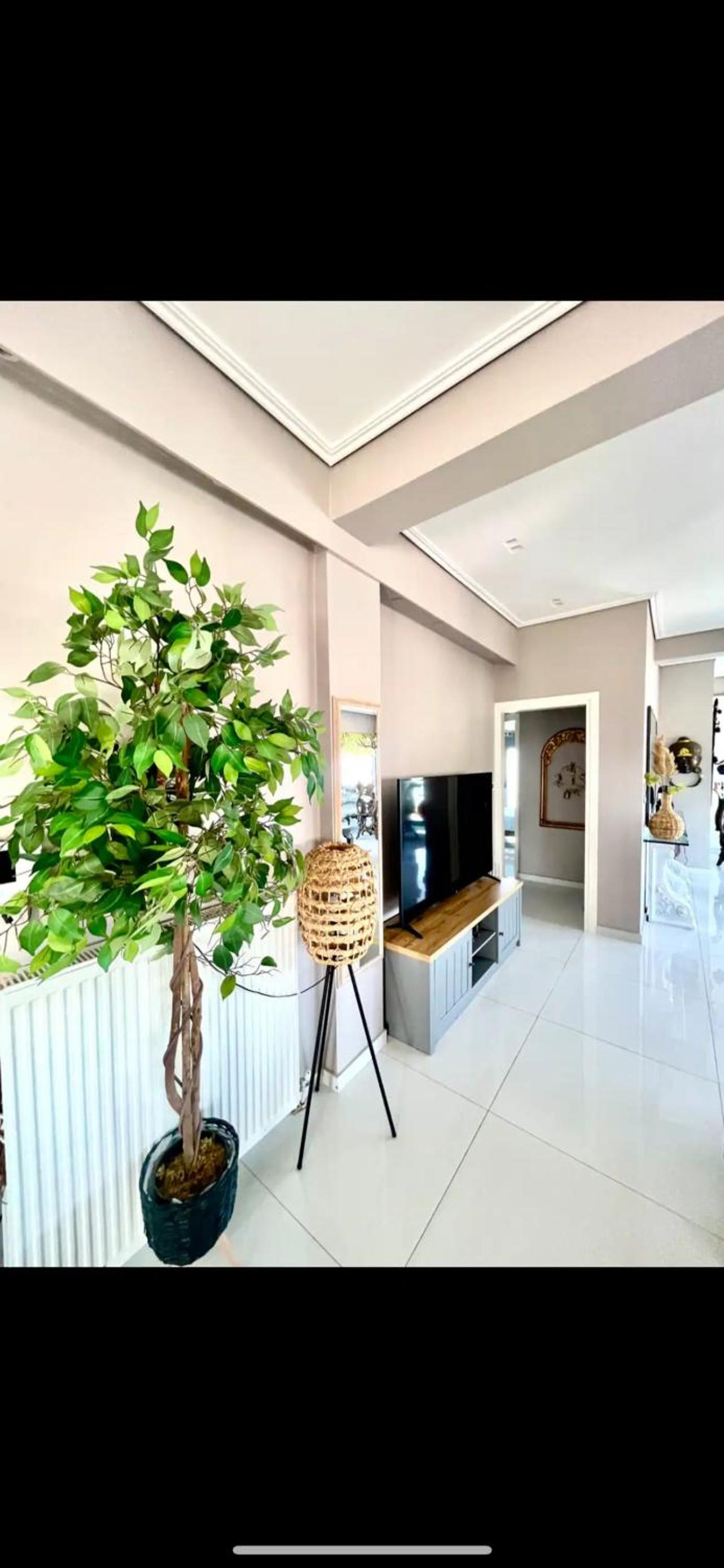 Three-Bedroom Deluxe Apartment photo 1
