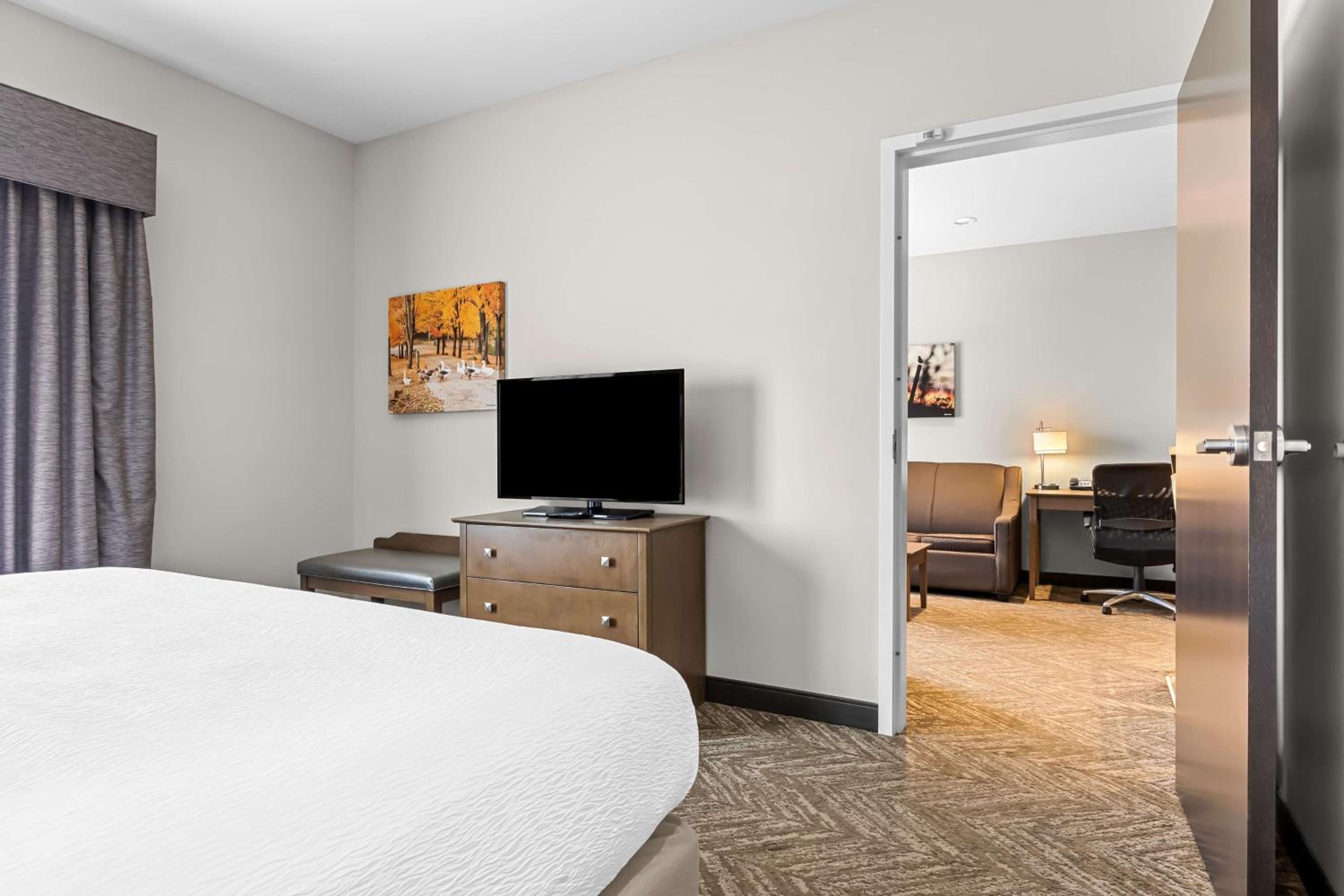King Suite with Sofa Bed and Kitchen- Non-Smoking photo 3