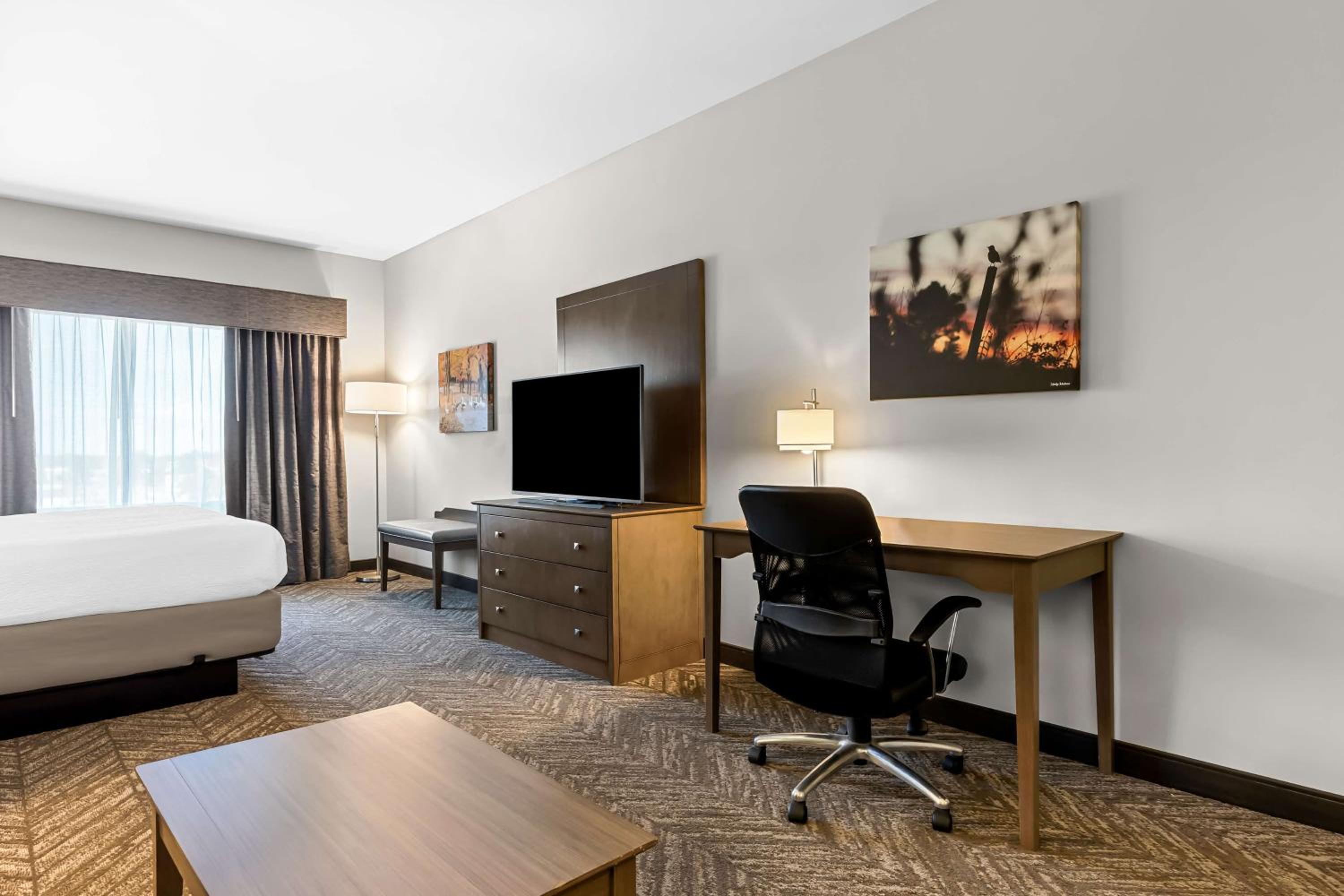 King Suite with Sofa Bed photo 2