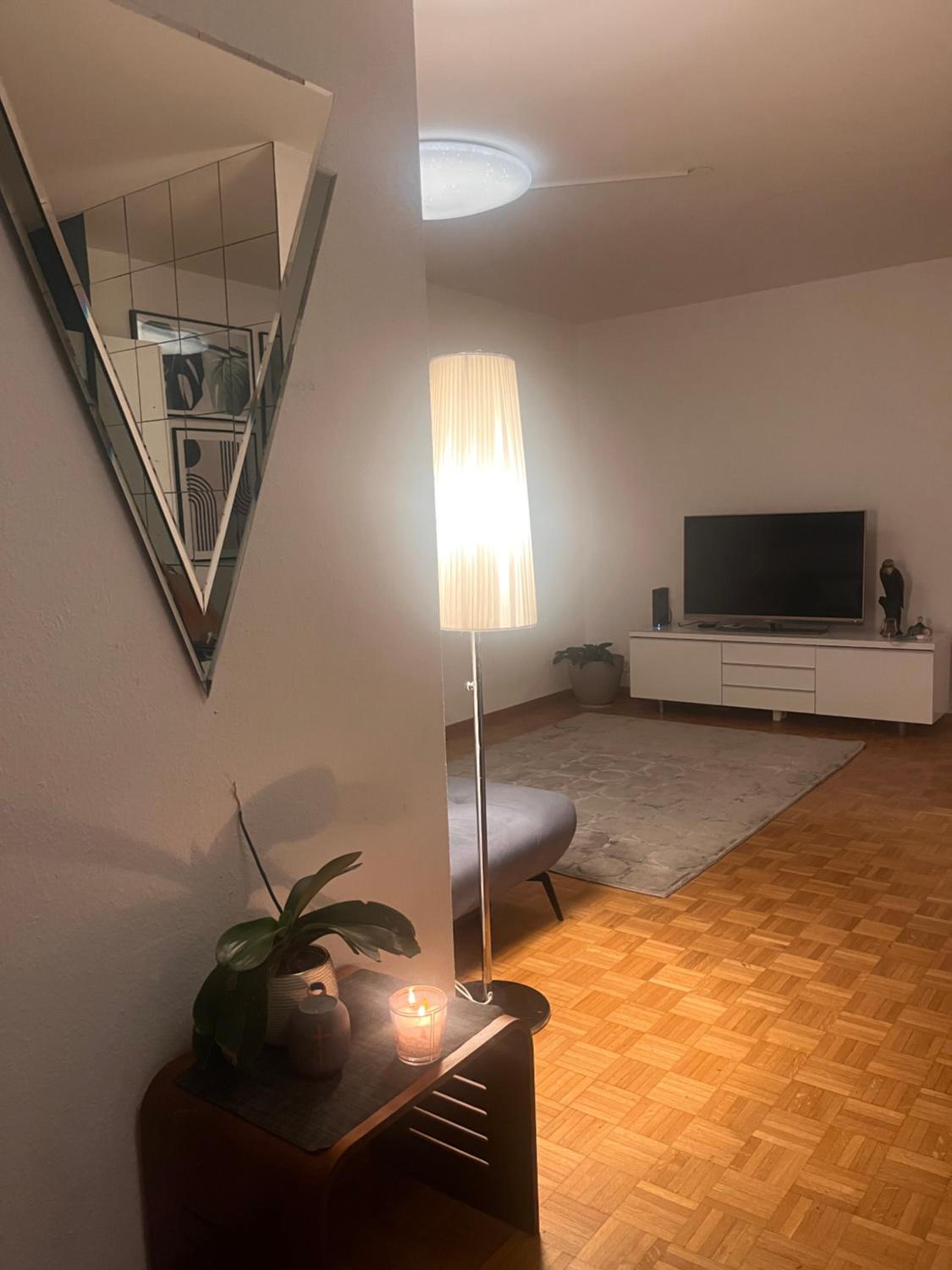 One-Bedroom Apartment photo 3