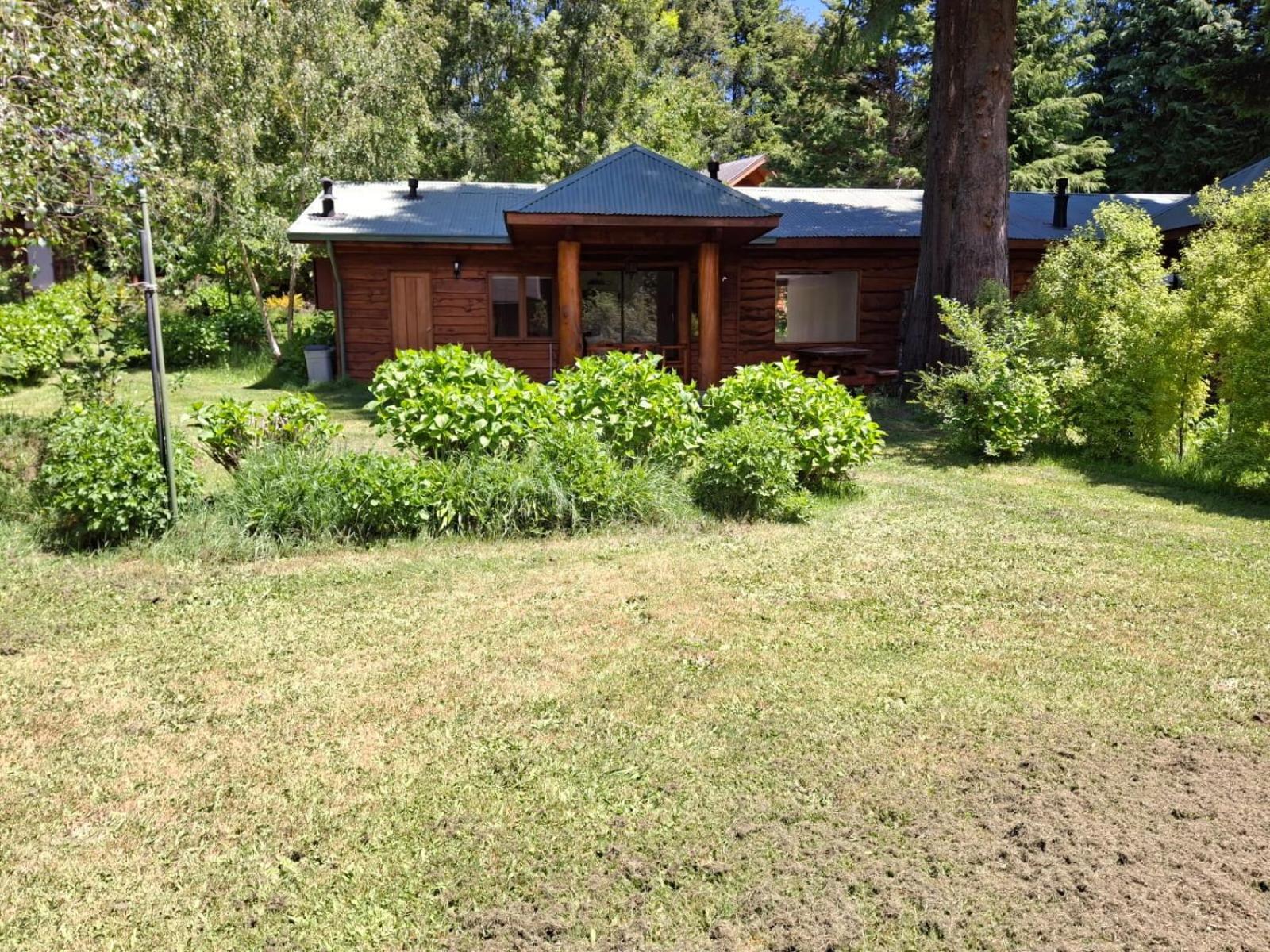 Three-Bedroom House photo 3