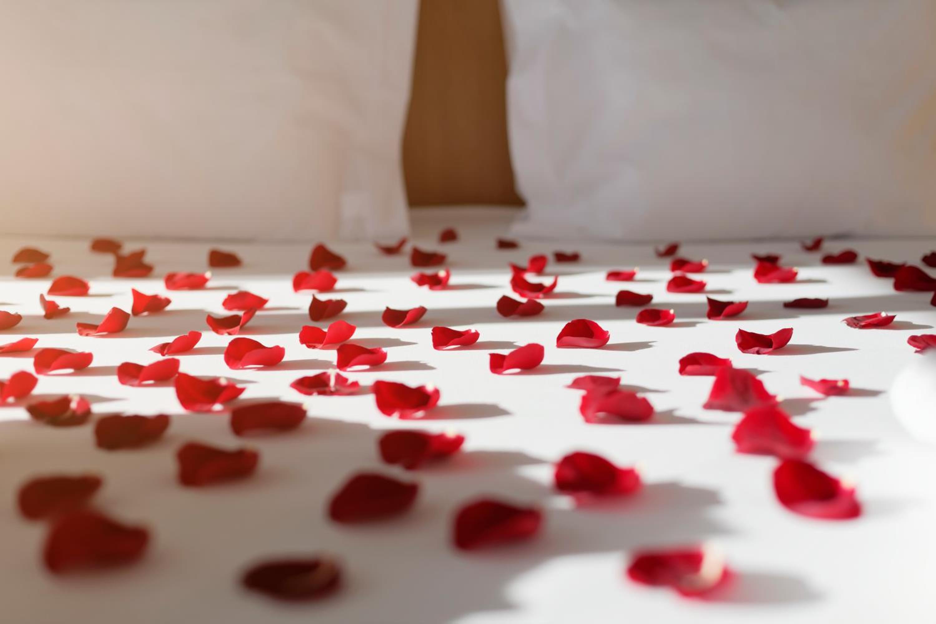 Habitación Doble Privilege con Paquete Romántico
