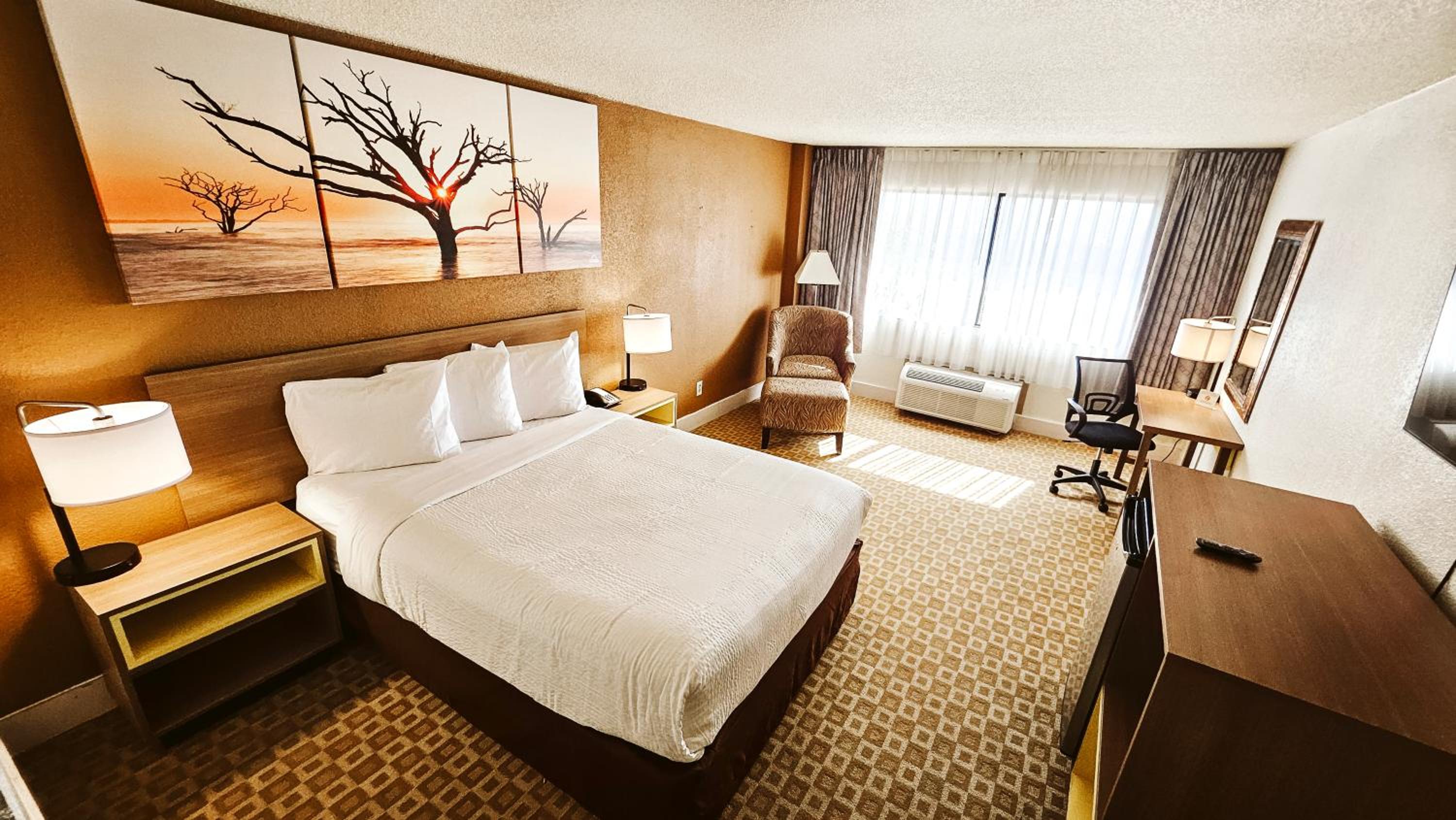 Queen Room - Non-Smoking - Photo 2