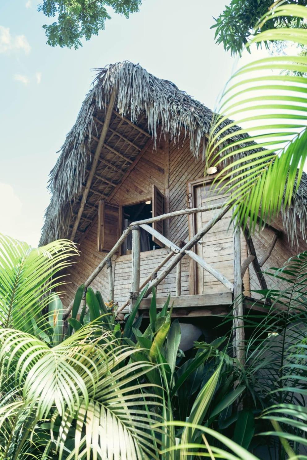 Deluxe Bungalow photo 3