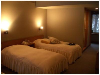Twin Room - Annex photo 2