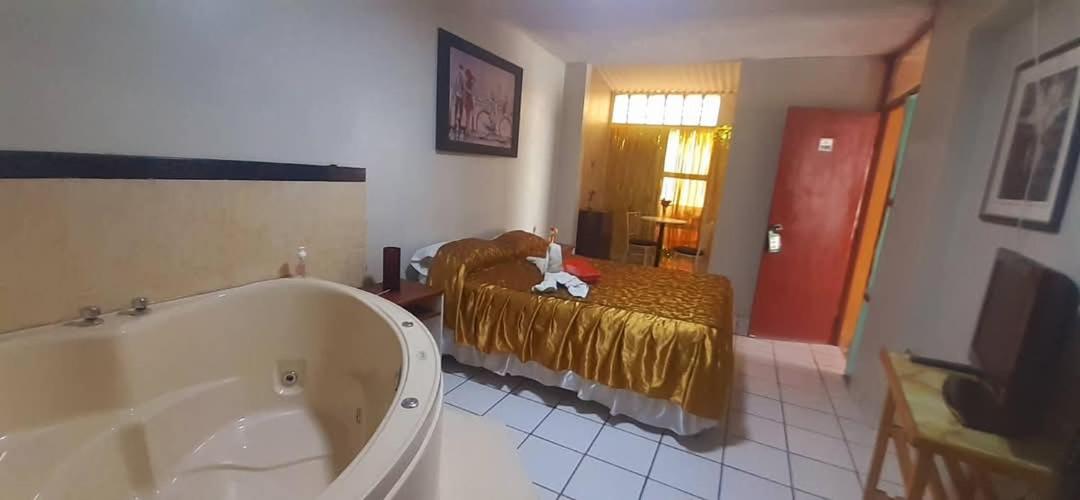 Double Room photo 1