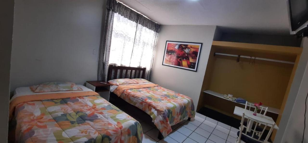 Twin Room photo 1