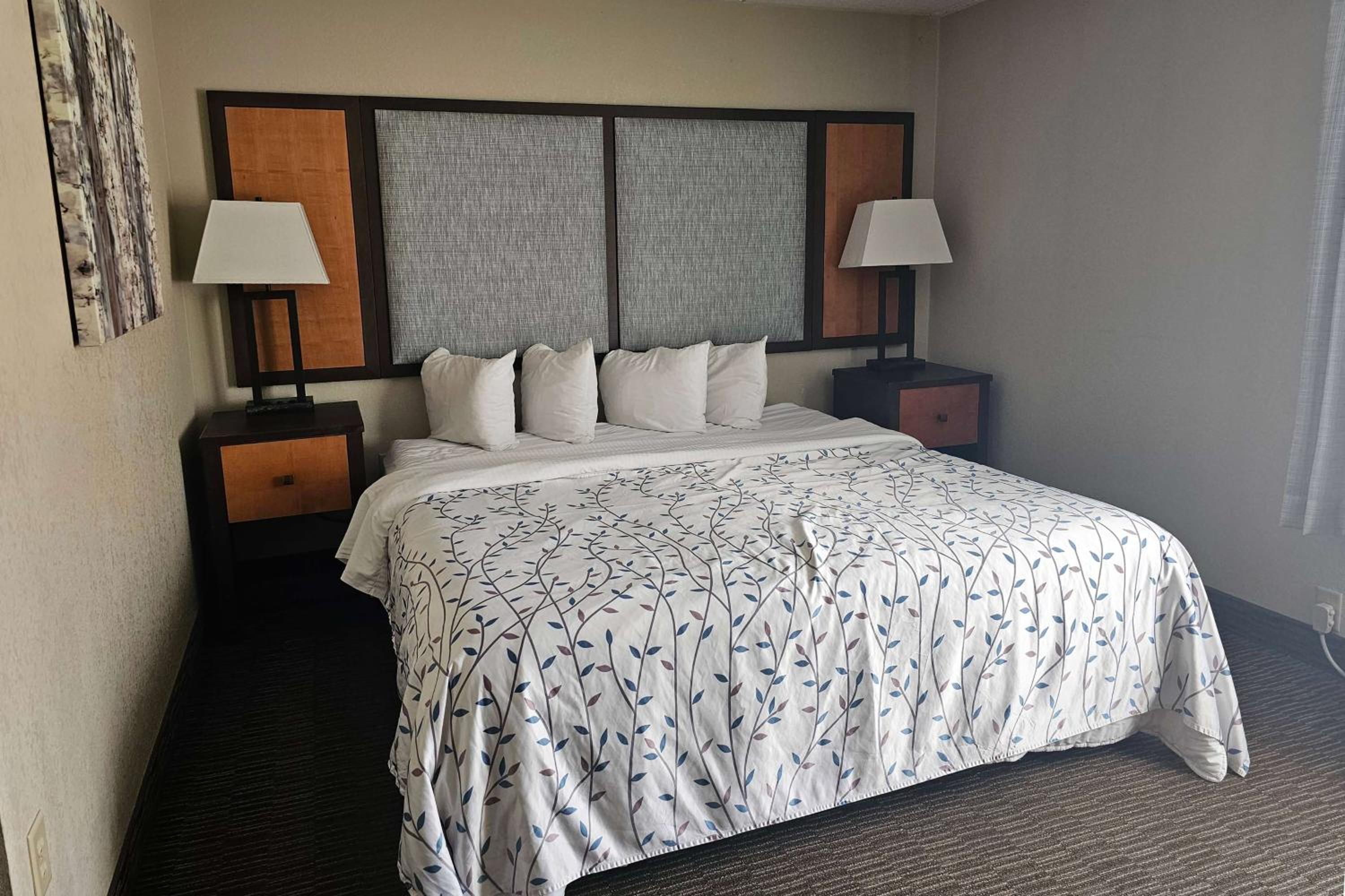 King Room - Non-Smoking - Photo 4