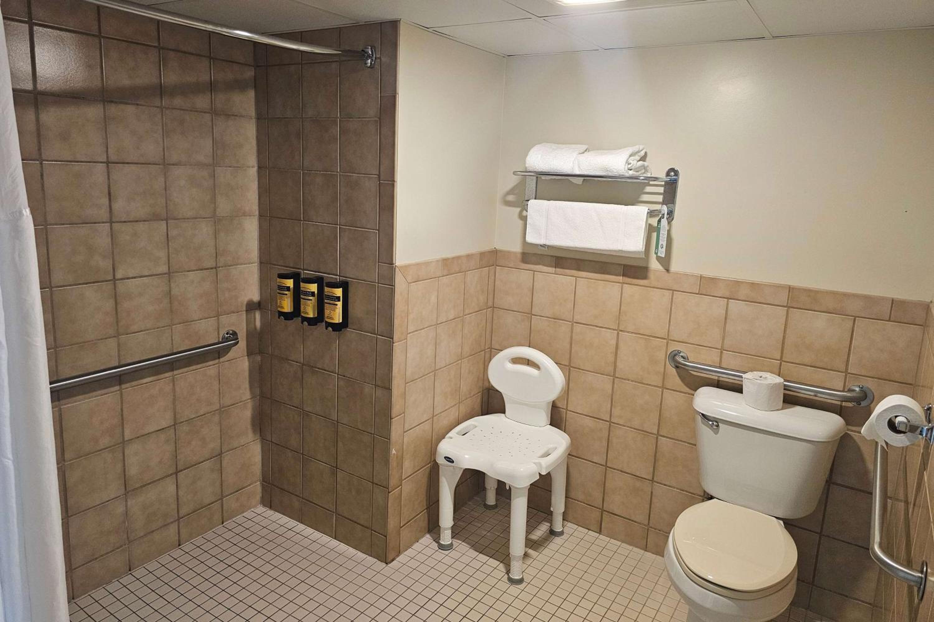 King Room with Roll-in Shower - Mobility Access/Non-Smoking - Photo 5