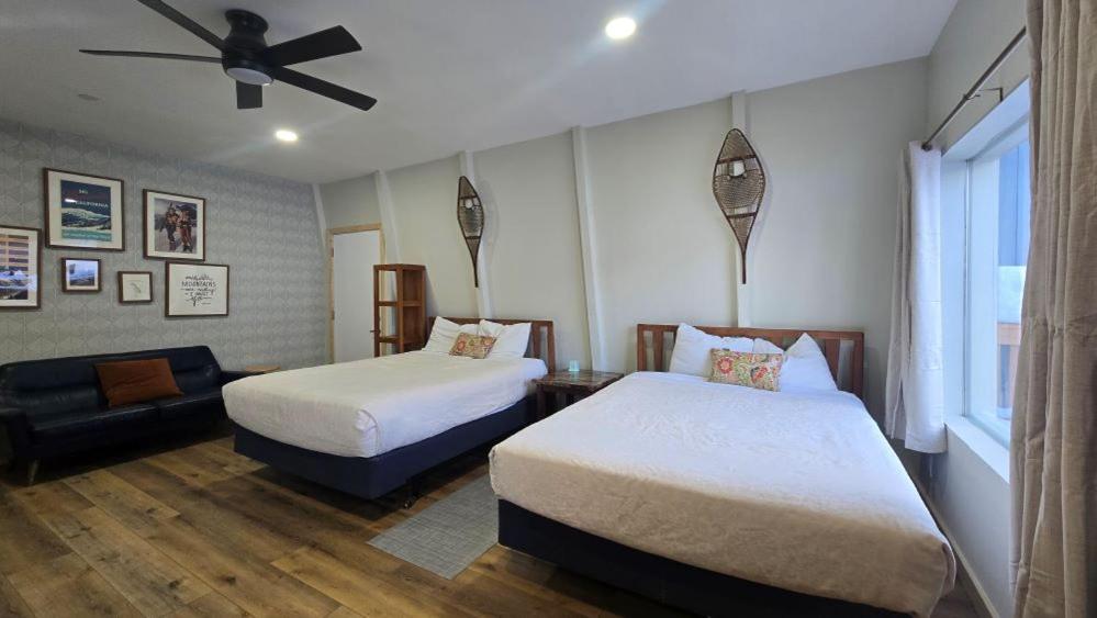 Queen Suite photo 1