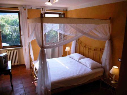 Double or Twin Room photo 1