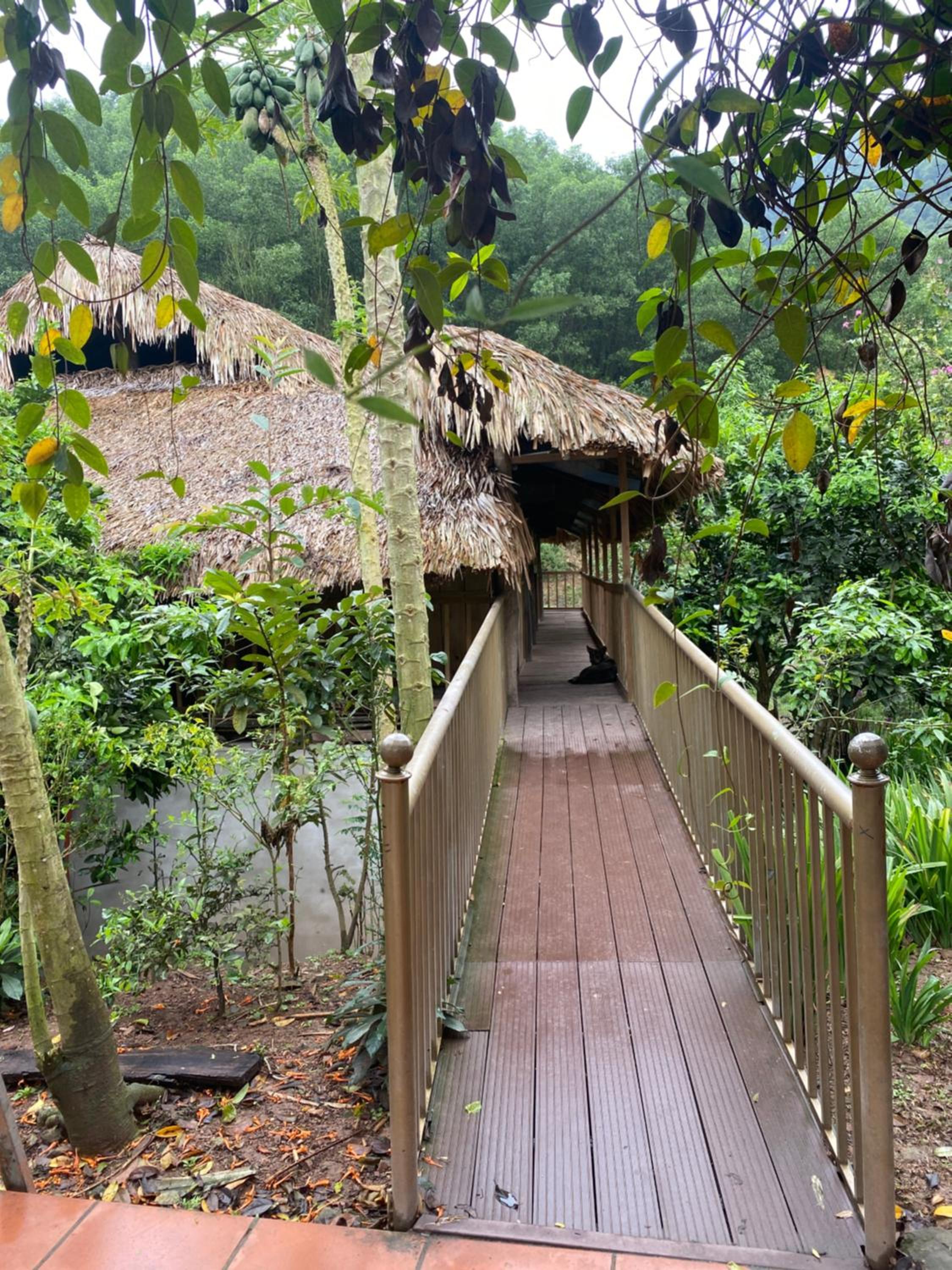 Superior Chalet photo 2