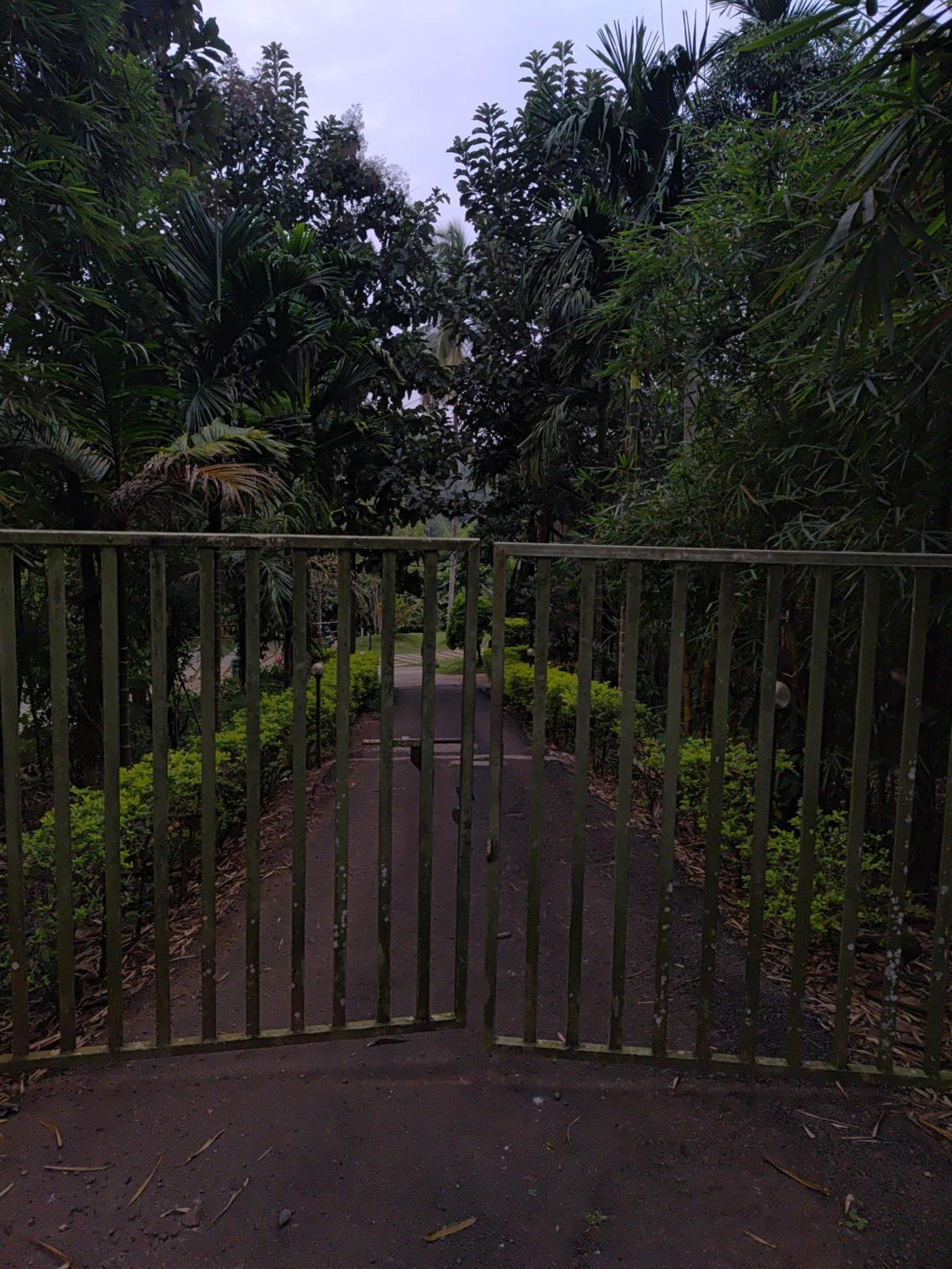 Bungalow photo 3