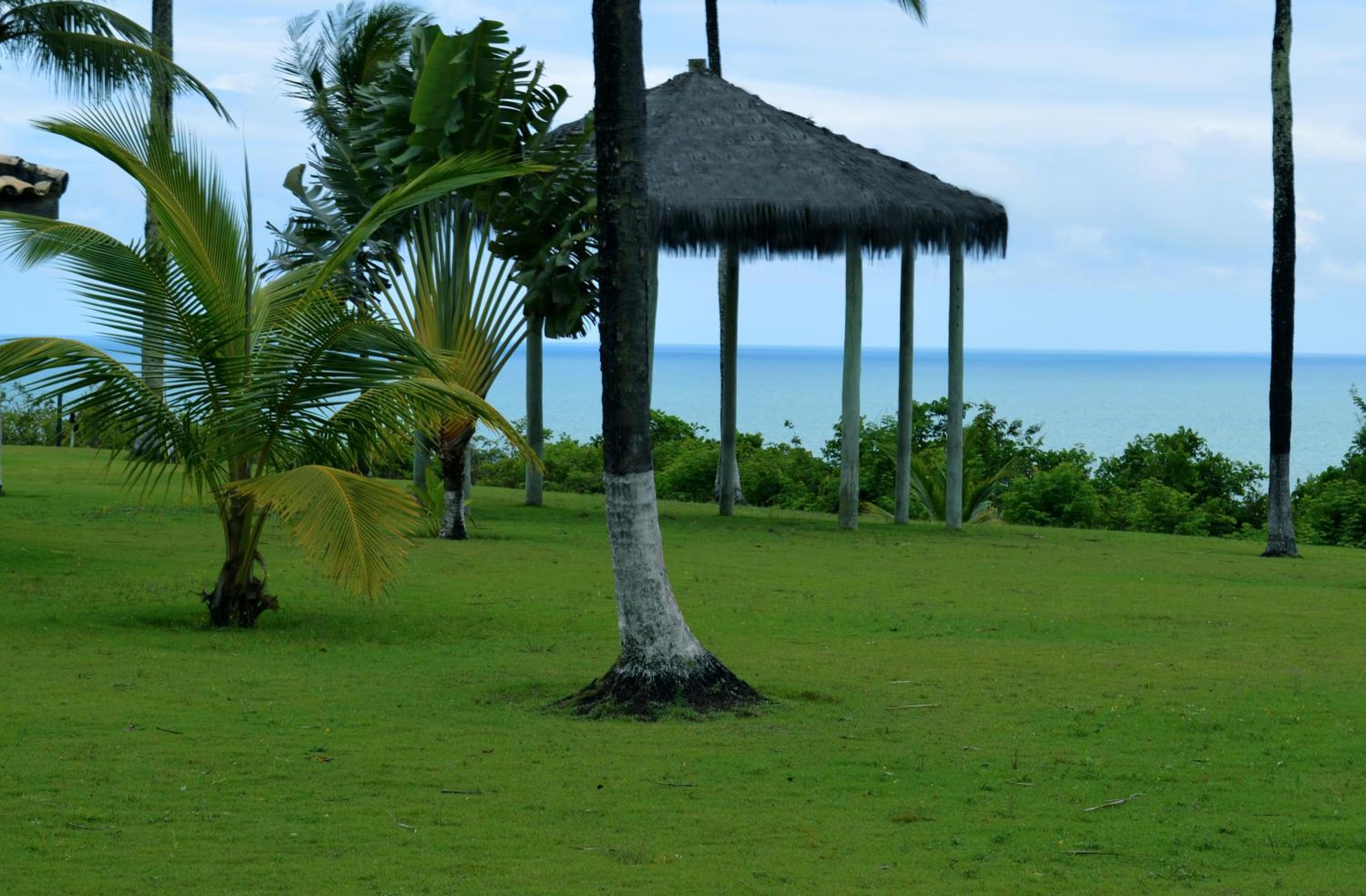 Superior Room with Sea View photo 2