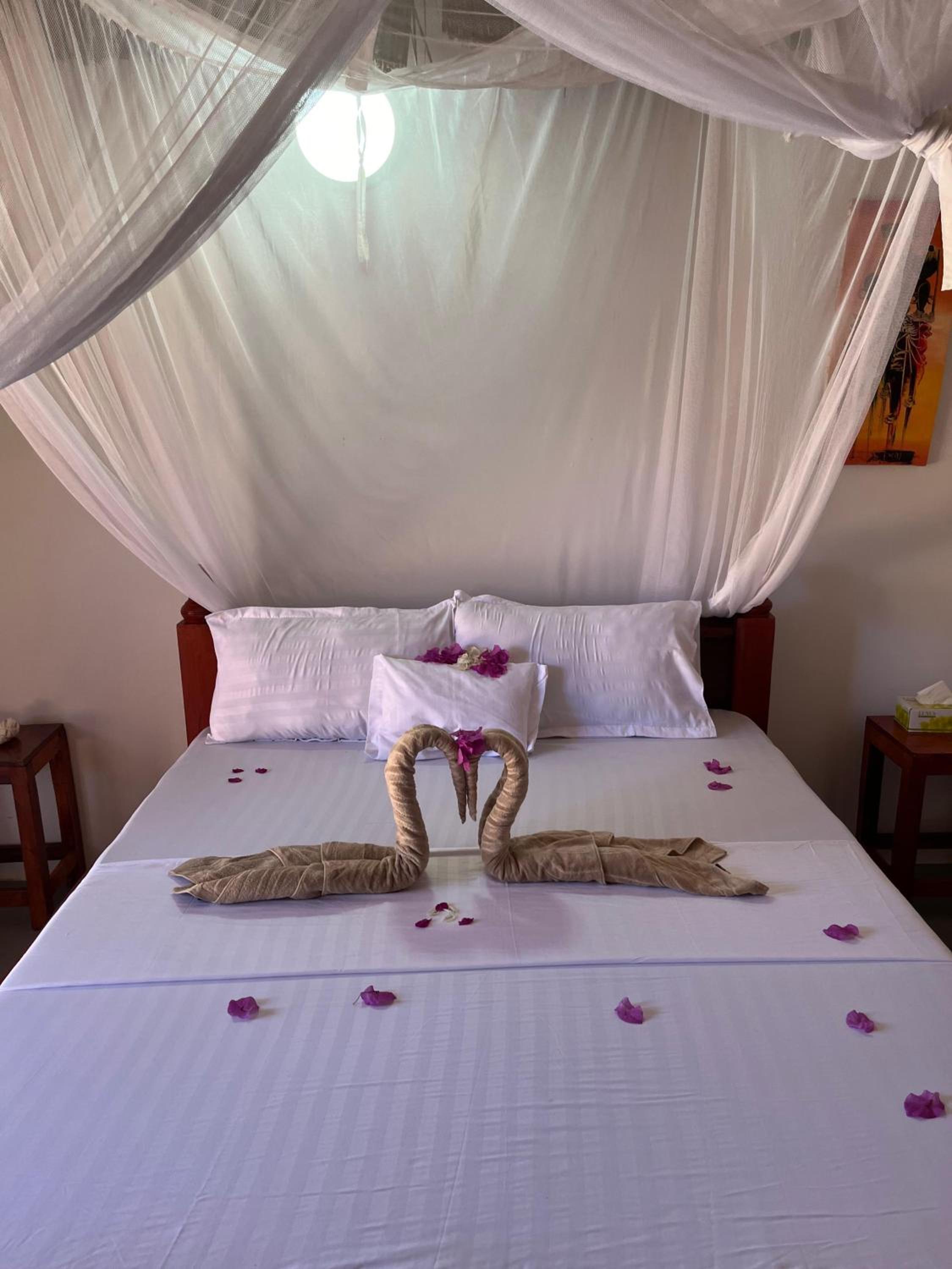 Double Room With Terrace photo 3