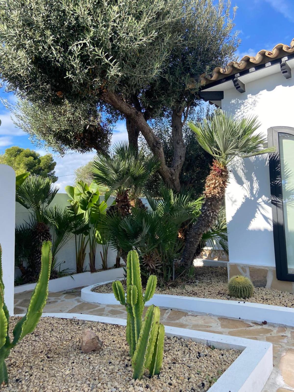 Villa photo 3