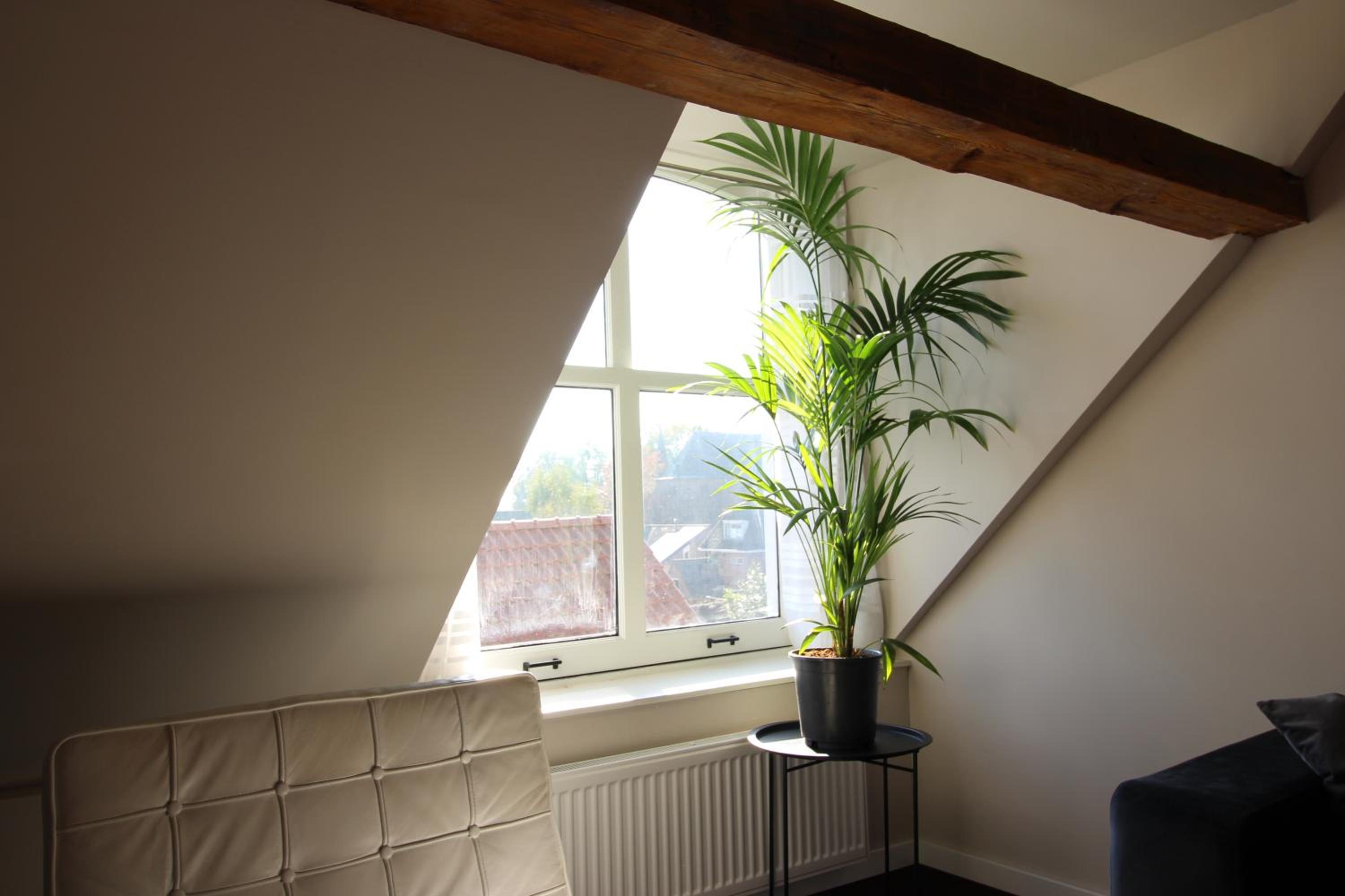 Two-Bedroom Apartment photo 2