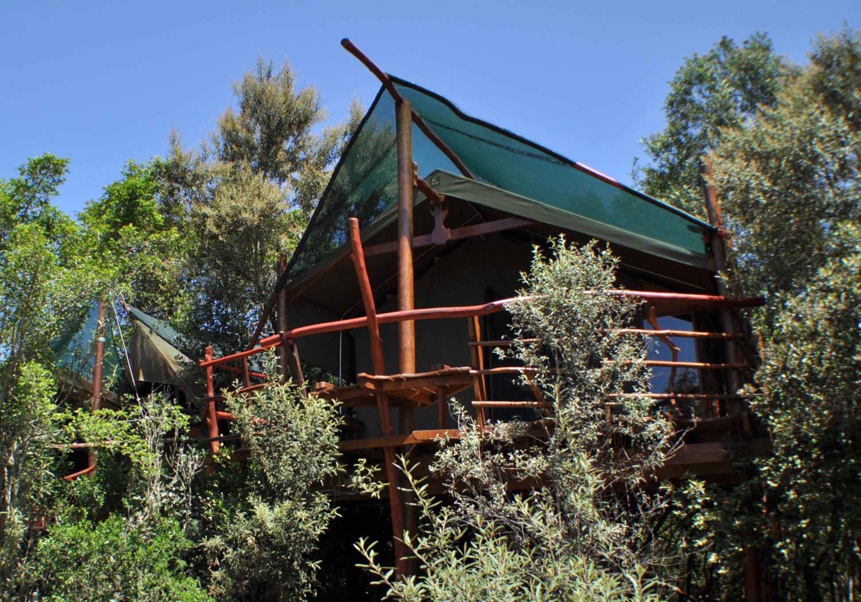 Family Tent - Photo 8