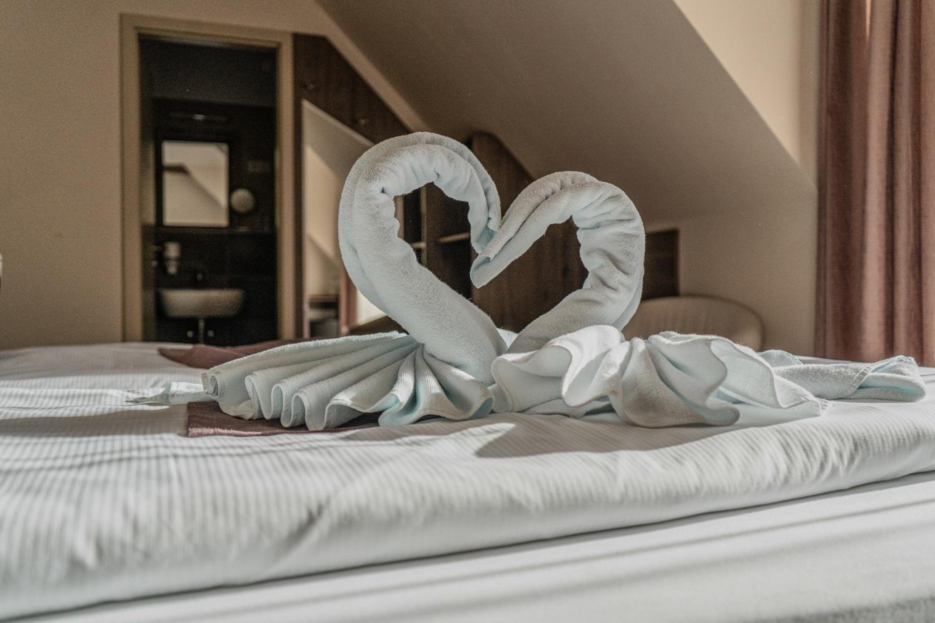 Deluxe Double or Twin Room photo 3