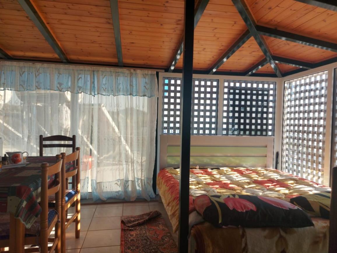 Suite Apartment