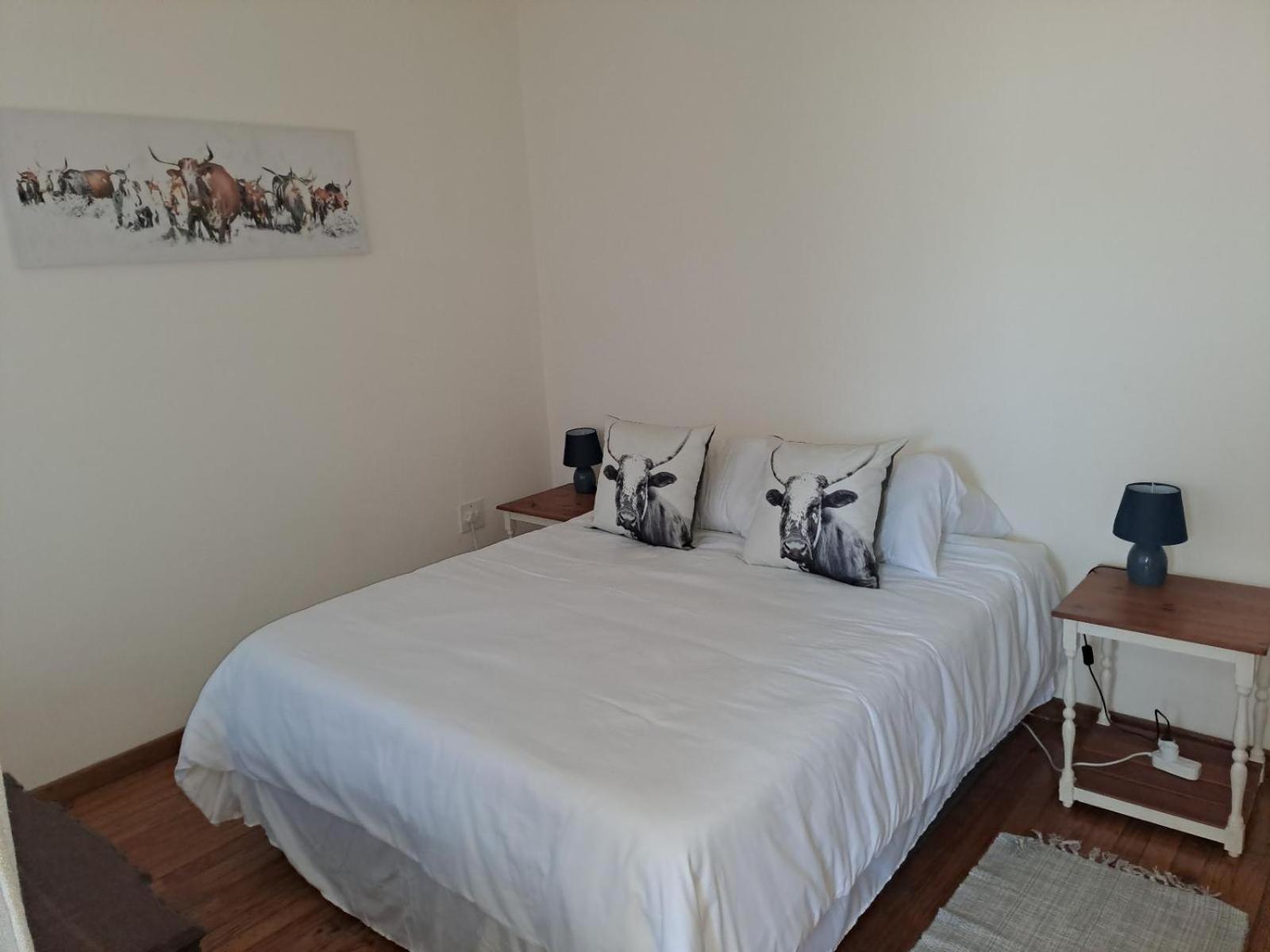 Comfort Apartment photo 1