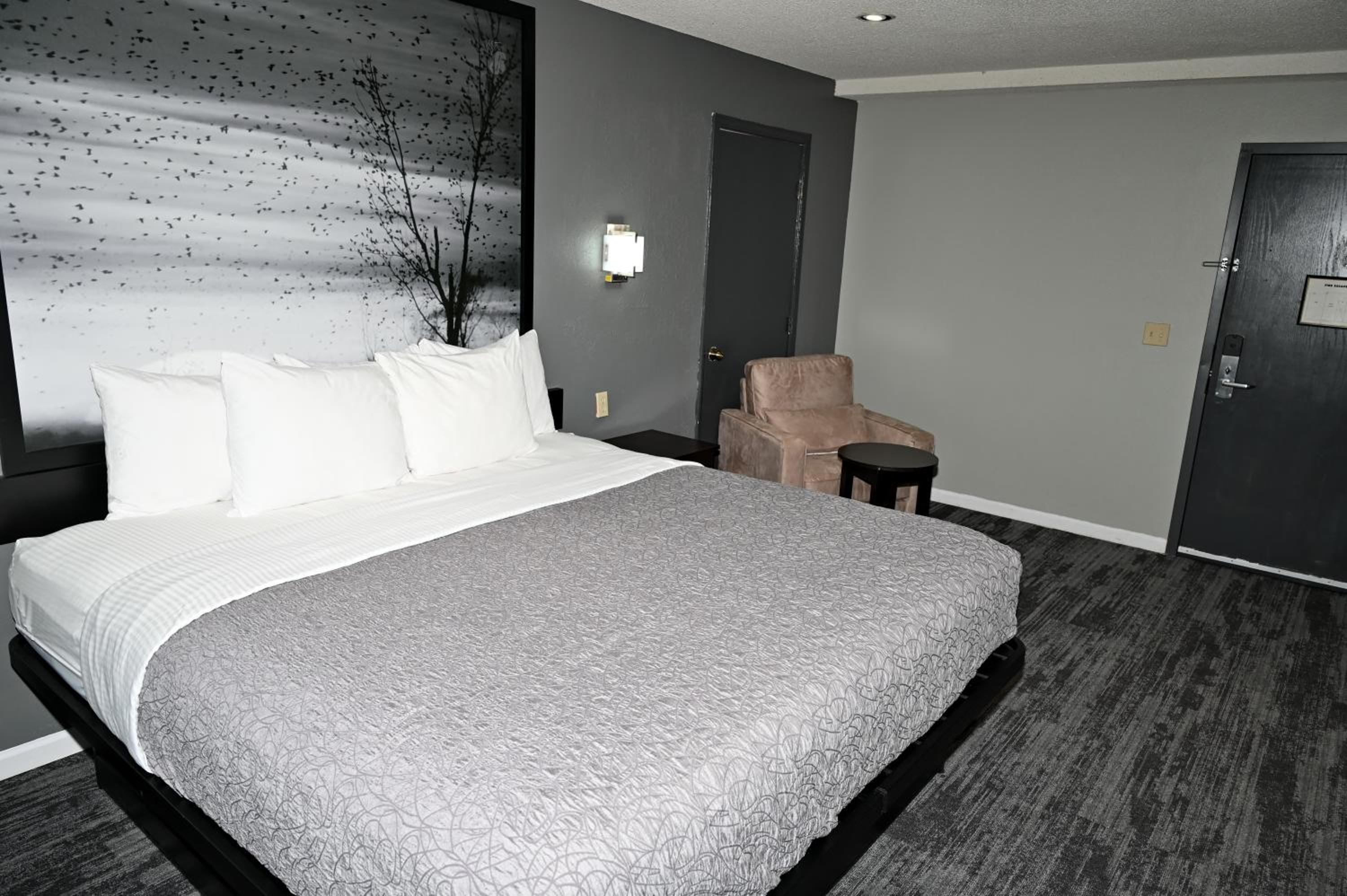King Room- Non-Smoking - Photo 4