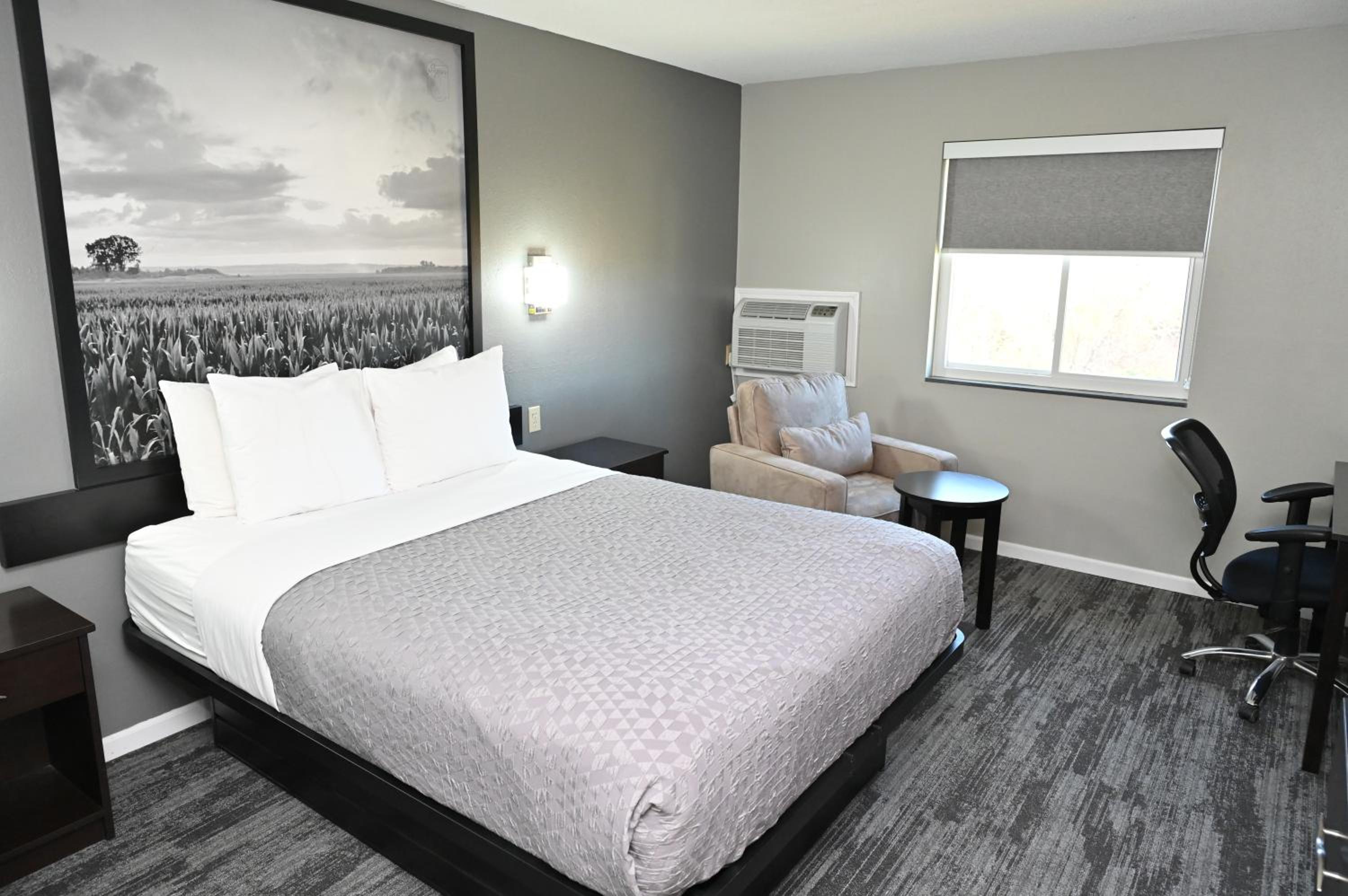 Queen Room - Non-Smoking - Photo 1