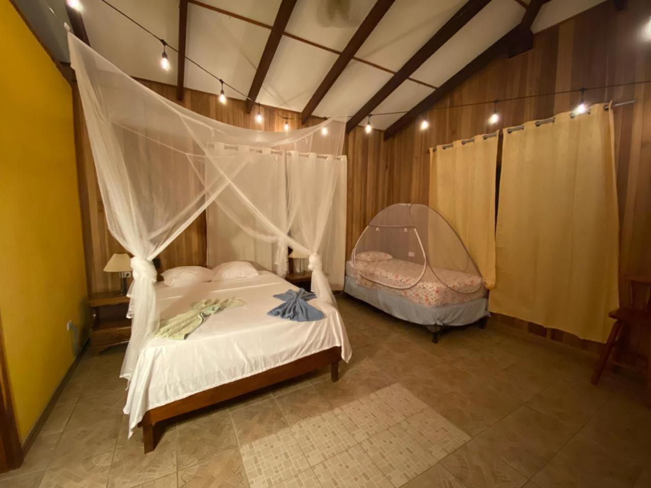 Deluxe One-Bedroom Apartment with Garden View photo 1