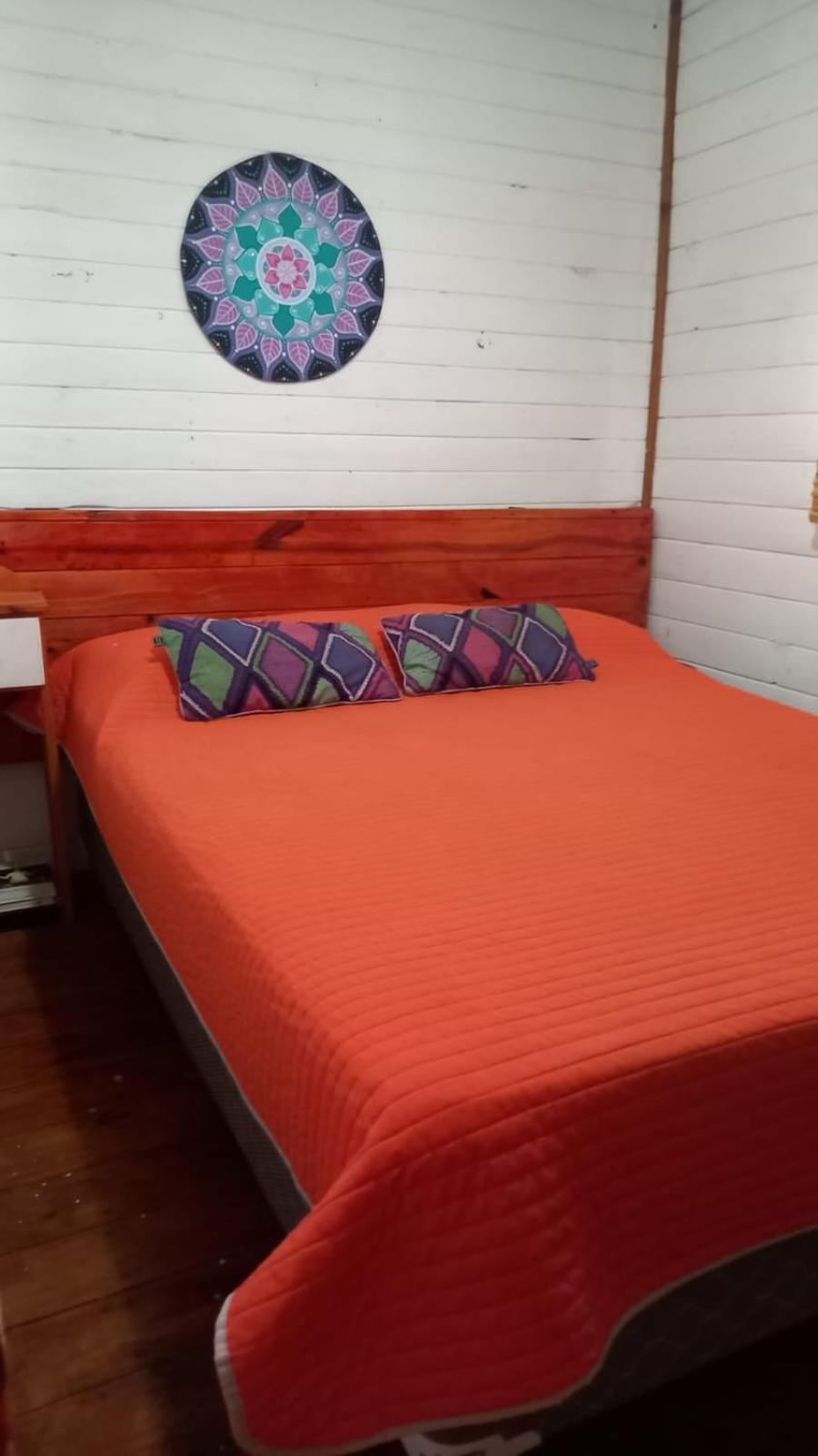 One-Bedroom House photo 1