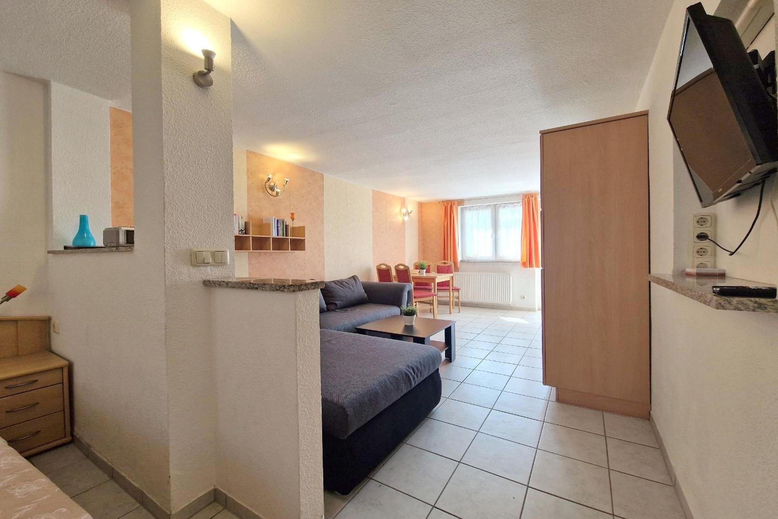 Large Apartment photo 2