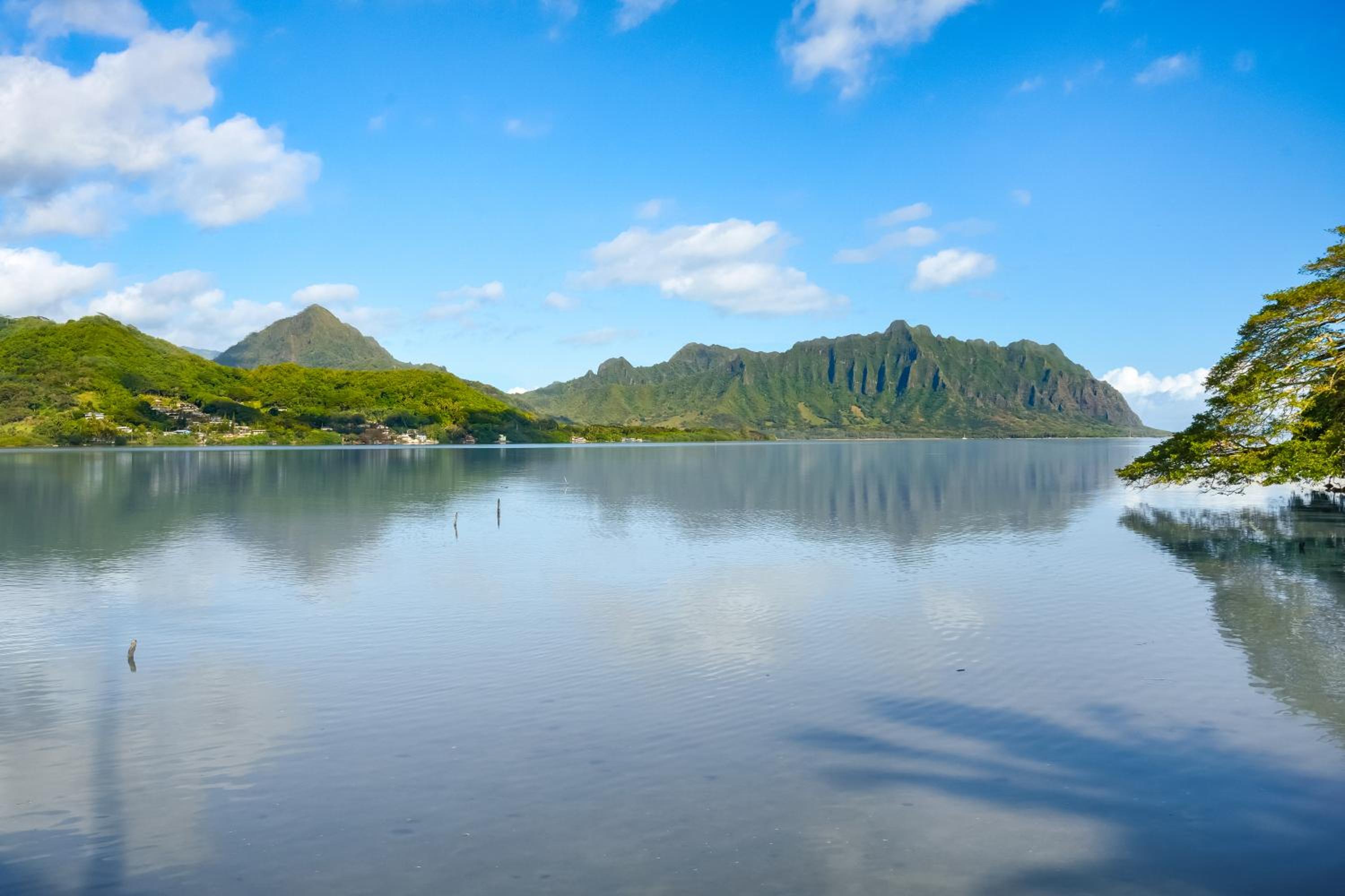 One-bedroom Cottage - Water Front