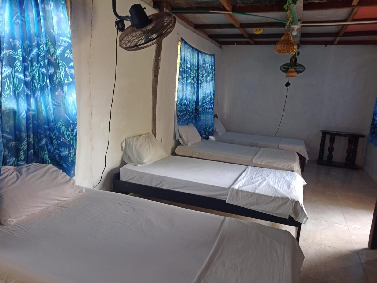 6-Bed Mixed Dormitory Room photo 1