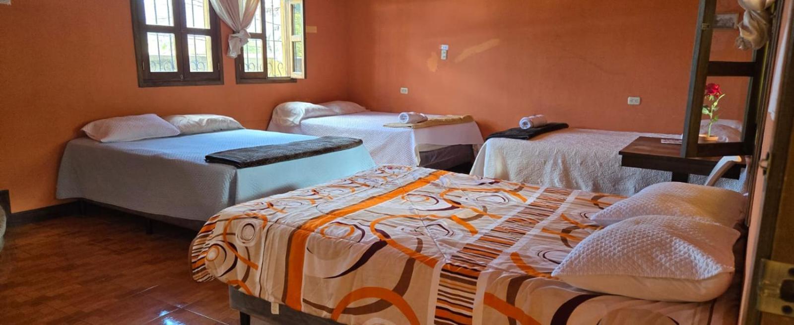 Triple Room with Private Bathroom photo 1