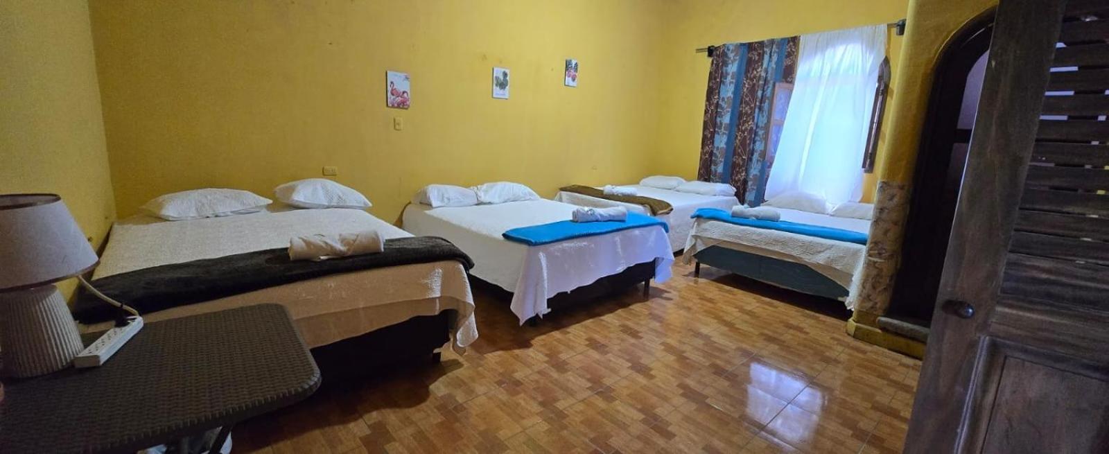 Triple Room with Private Bathroom photo 1