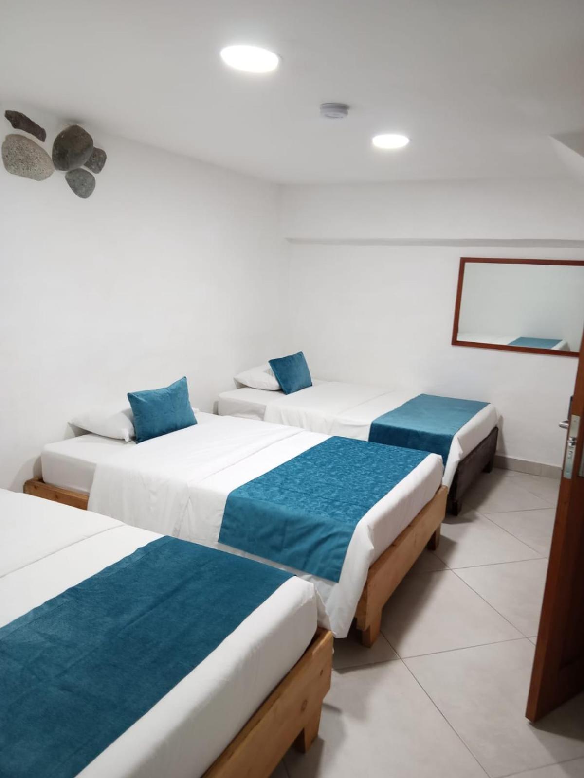 Basic Triple Room photo 1