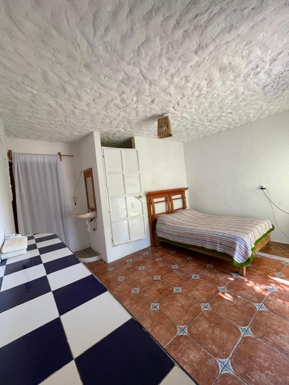 Double Room With Garden View photo 3