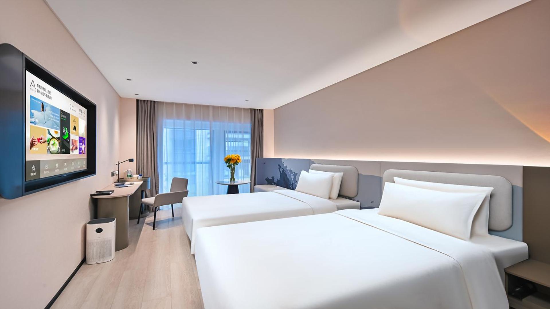 Light Twin Room  photo 1