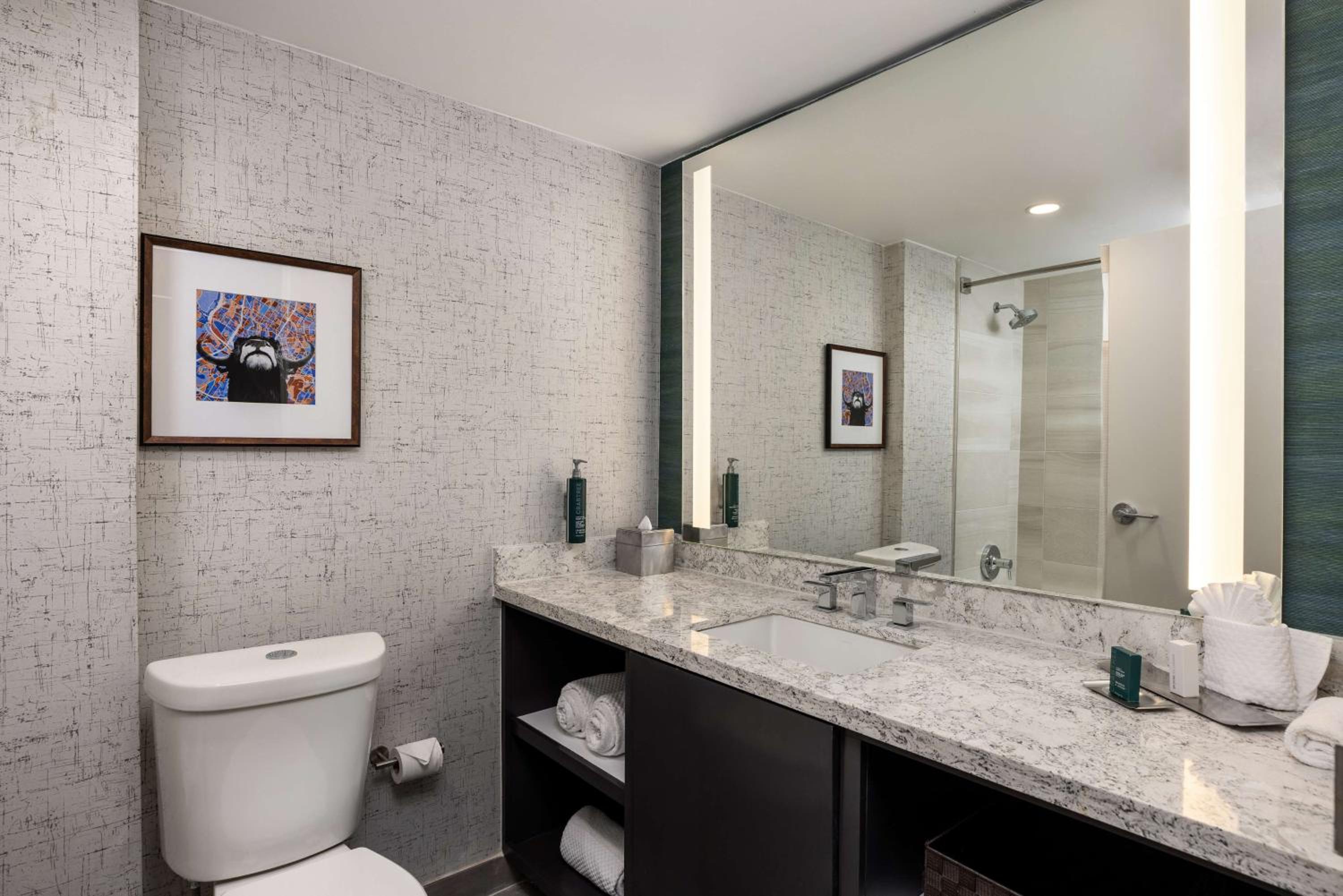Two-Bedroom King Suite - Photo 11