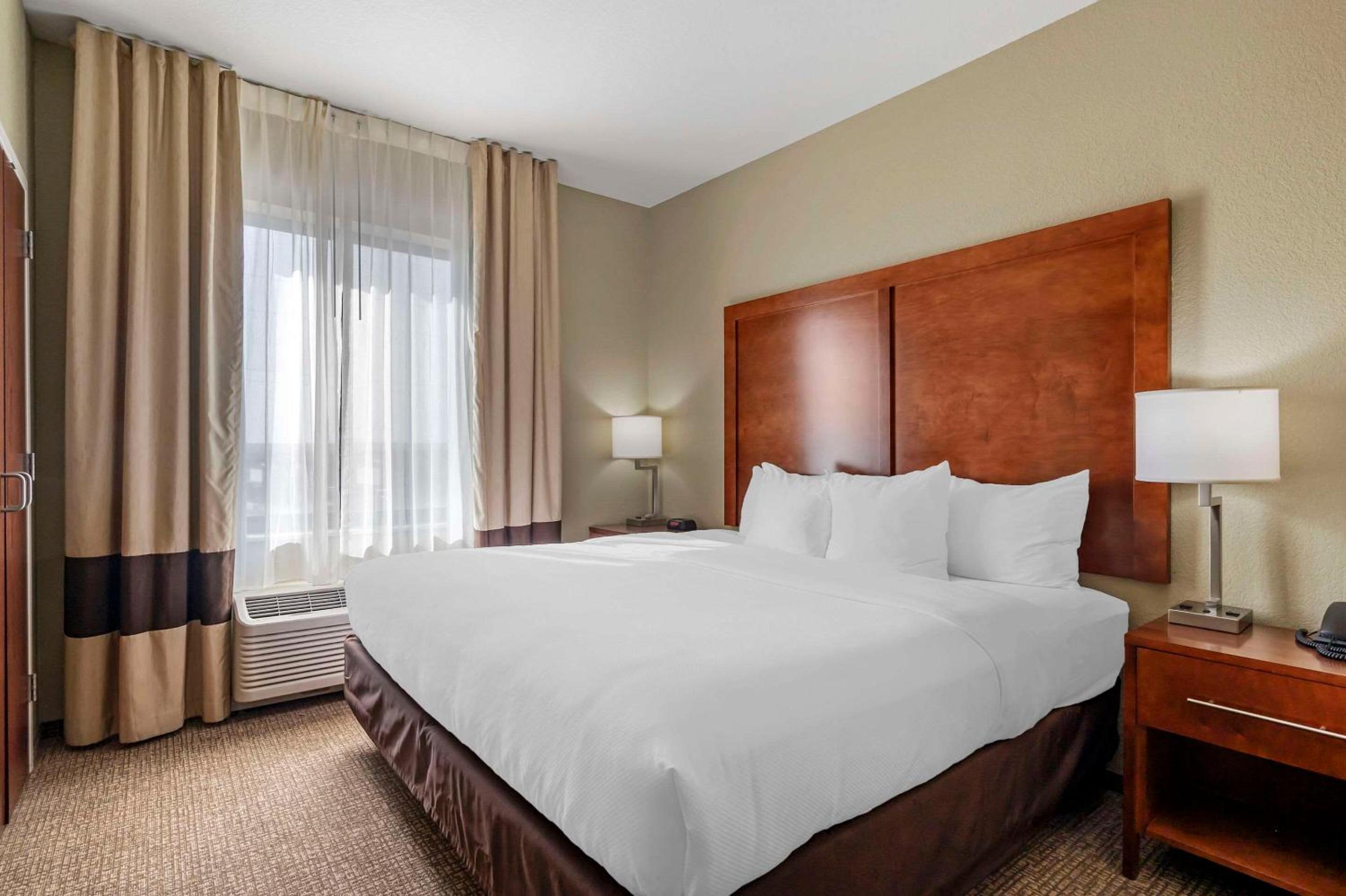 King Suite with Sofa Bed