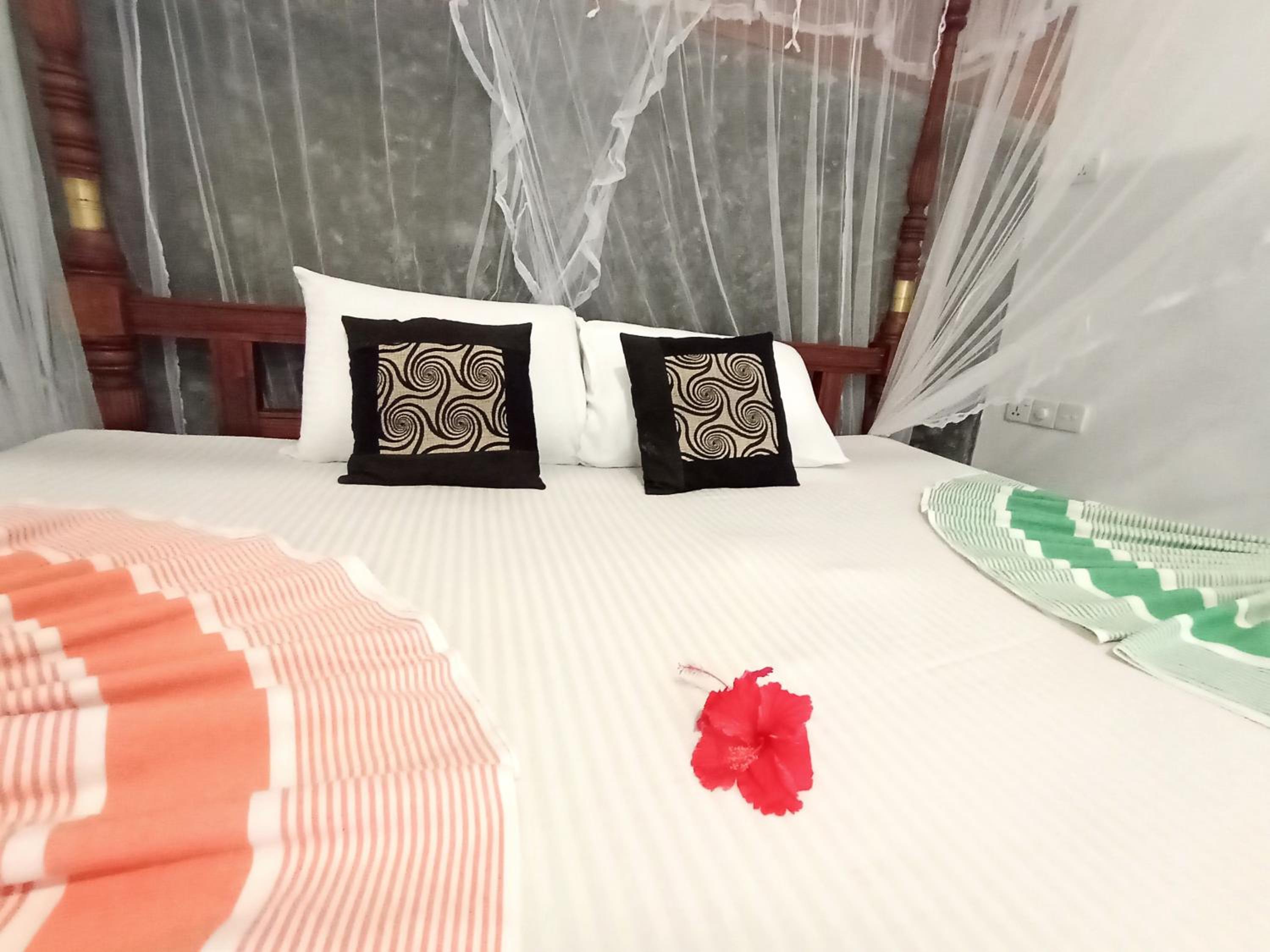 Standard Double Room with Fan