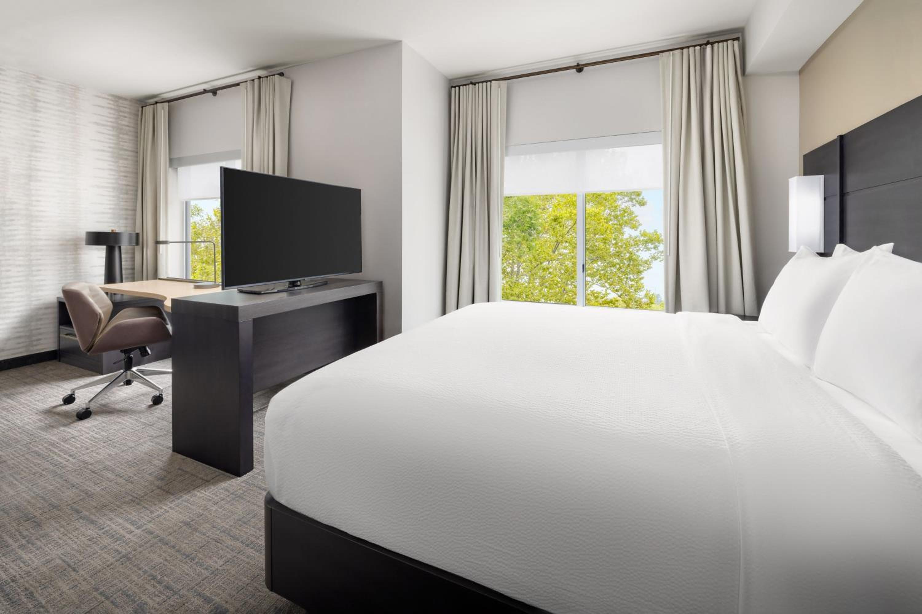 King Studio Suite with Sofa Bed - Photo 1