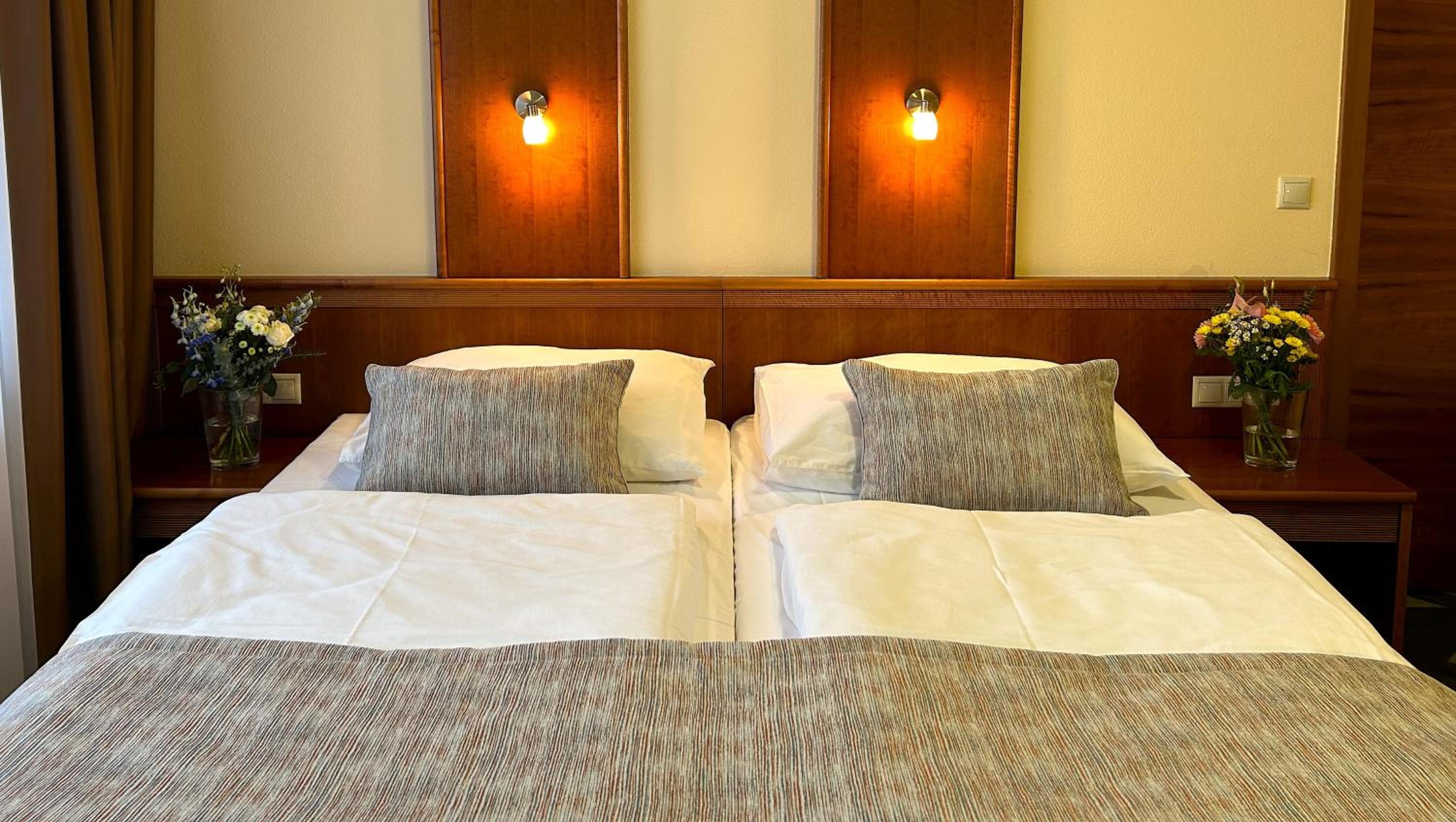 Suite - Photo 1