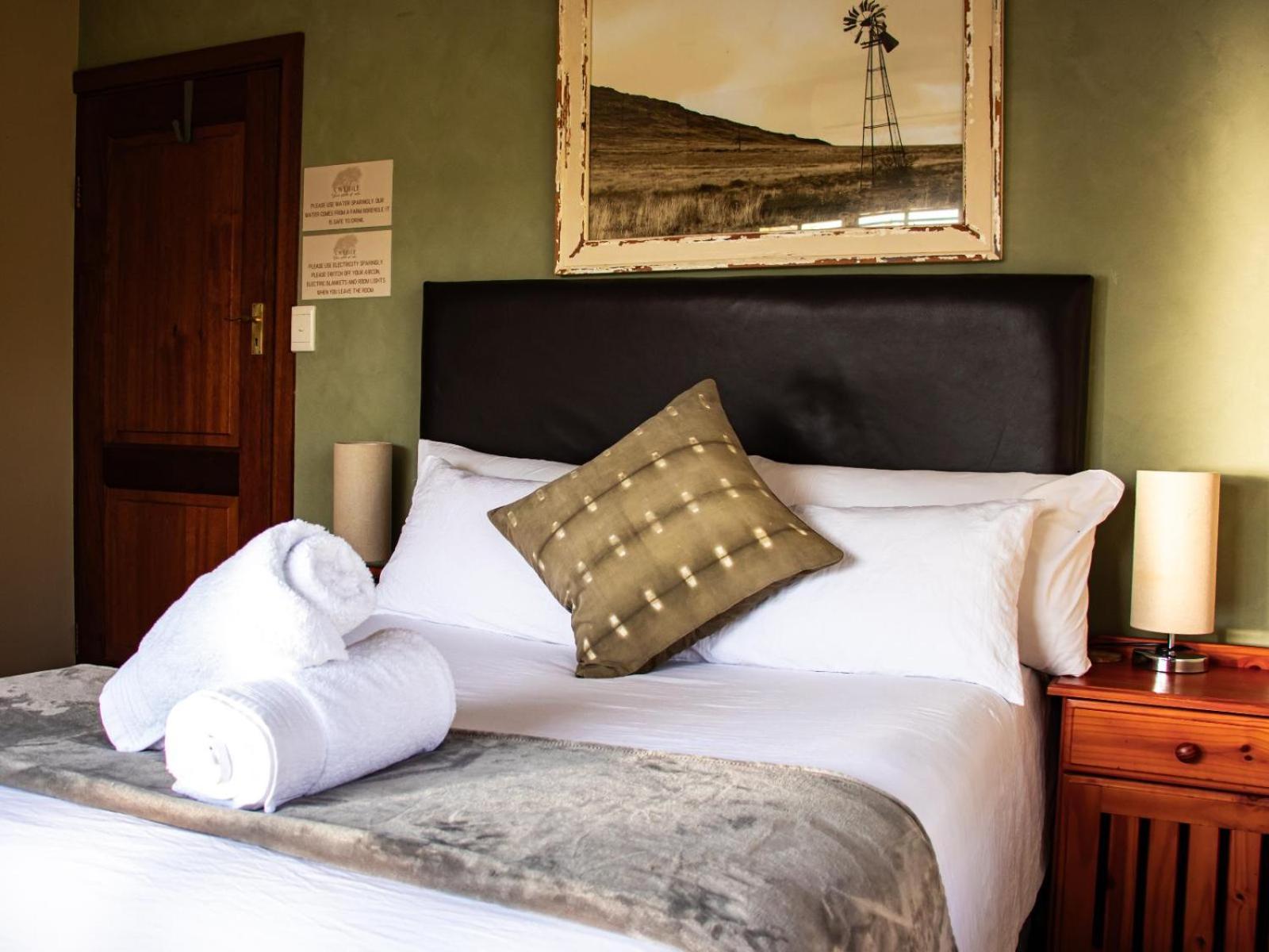 Standard Double Room - Photo 6