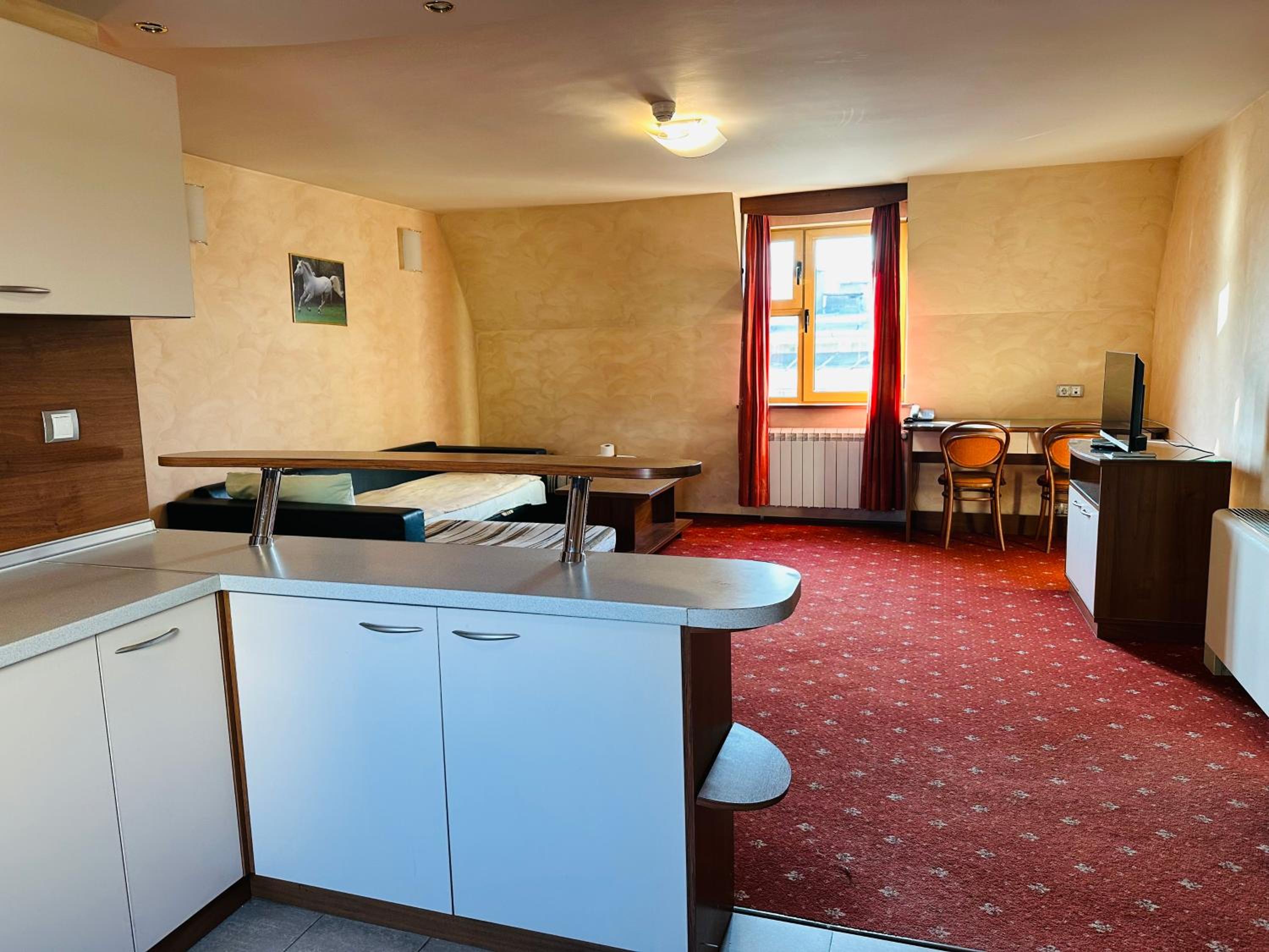 Standard Suite - Photo 8