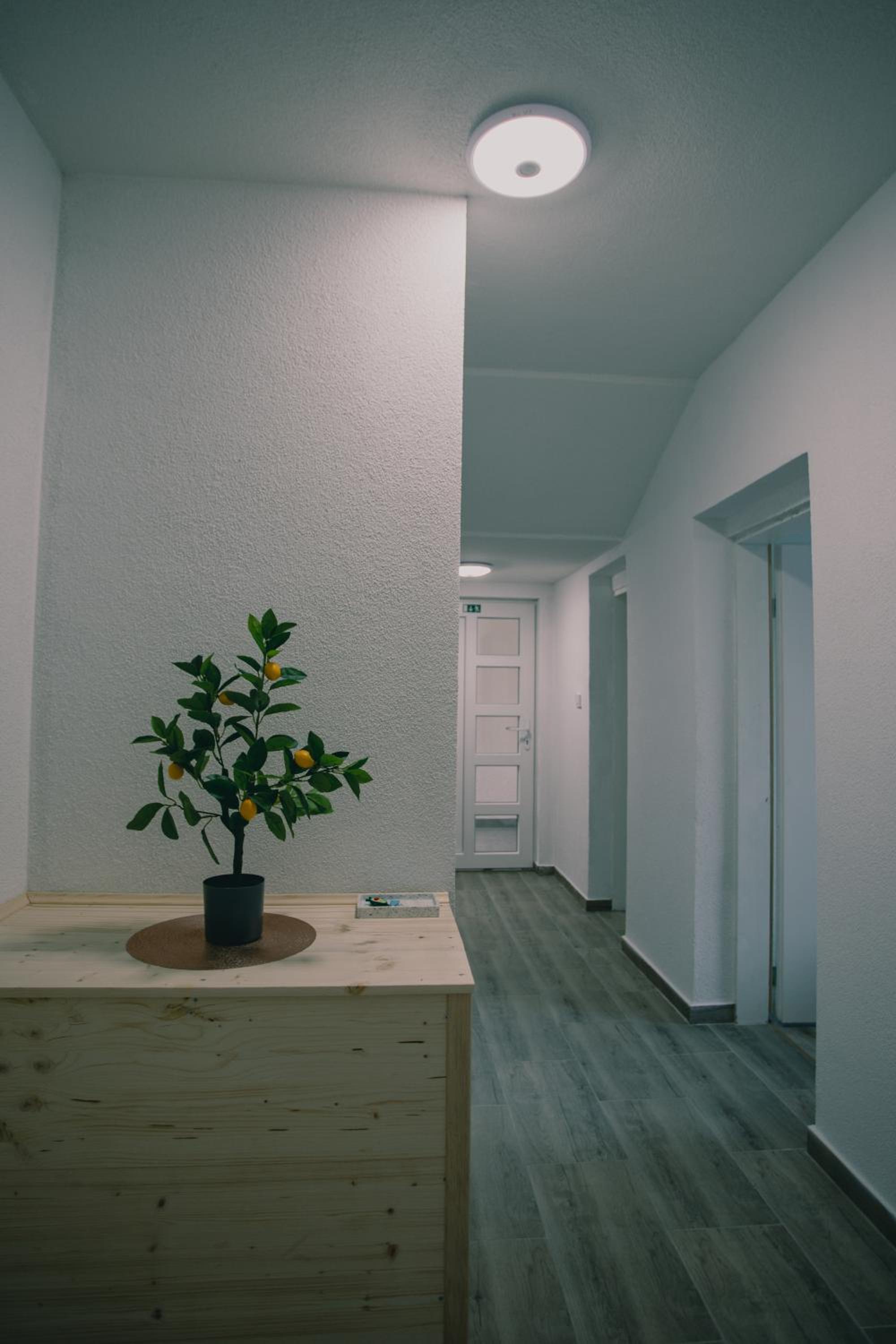 Two-Bedroom Apartment with Terrace photo 2