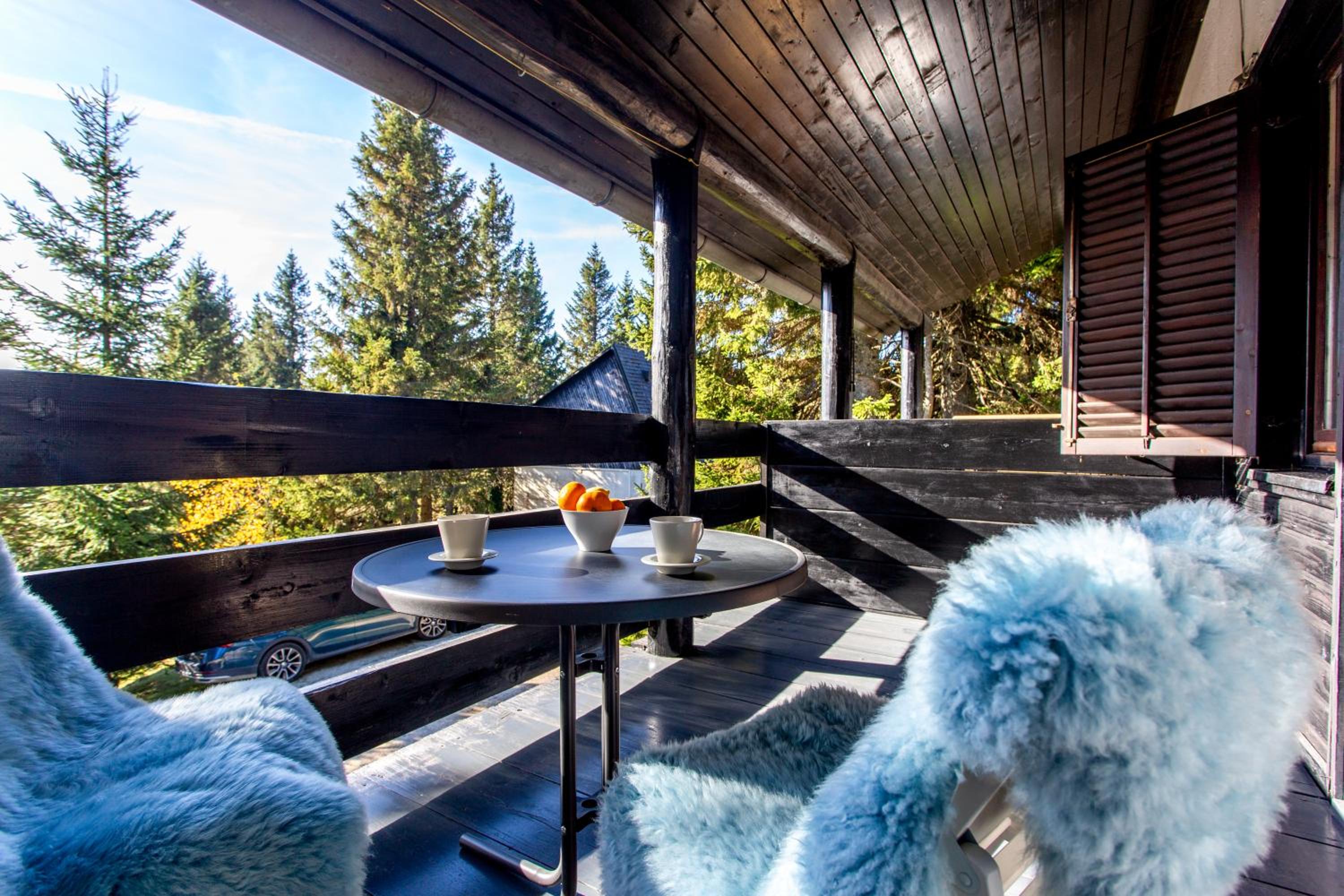 One-Bedroom Apartment with Balcony and Mountain View   photo 2