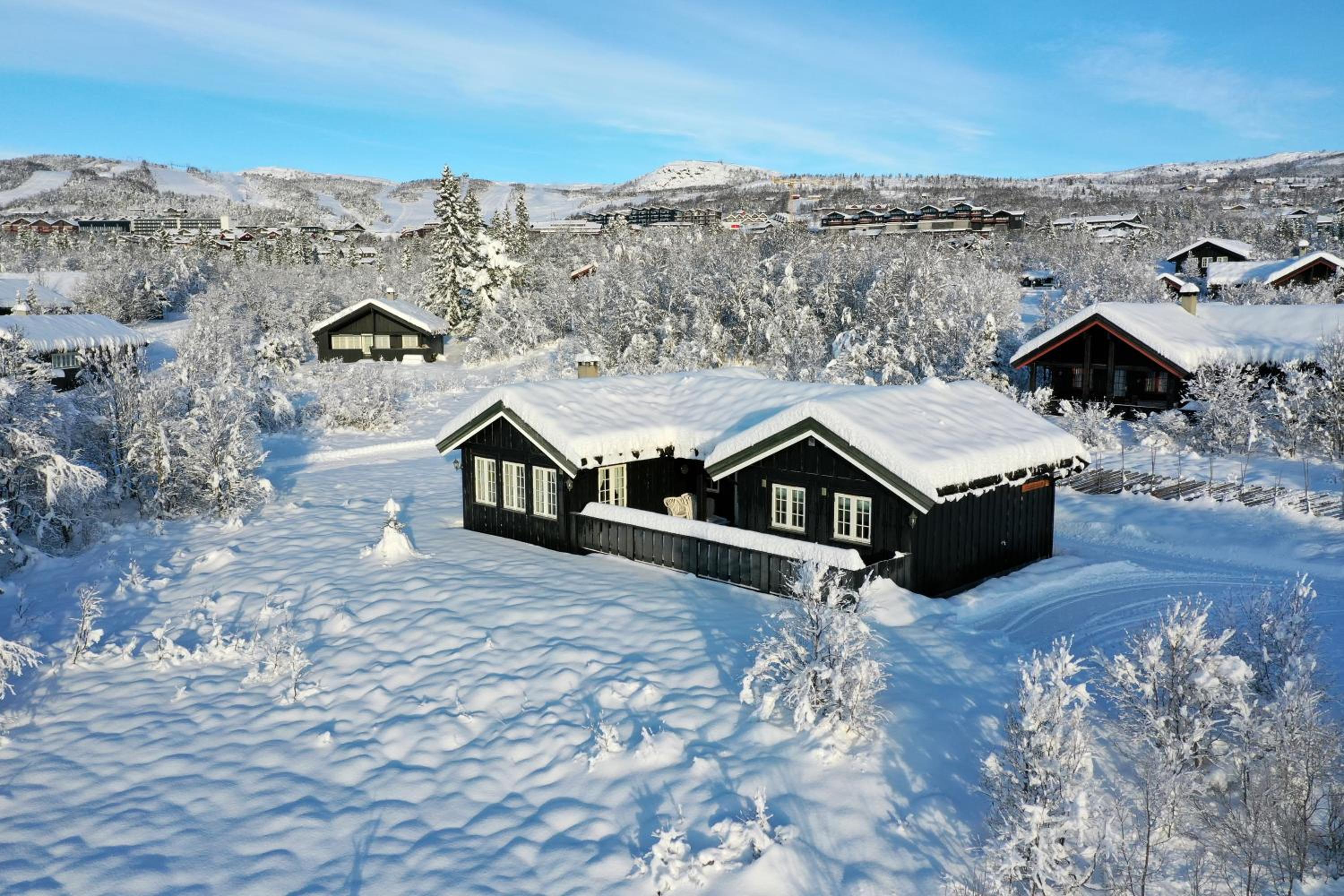 Chalet photo 2